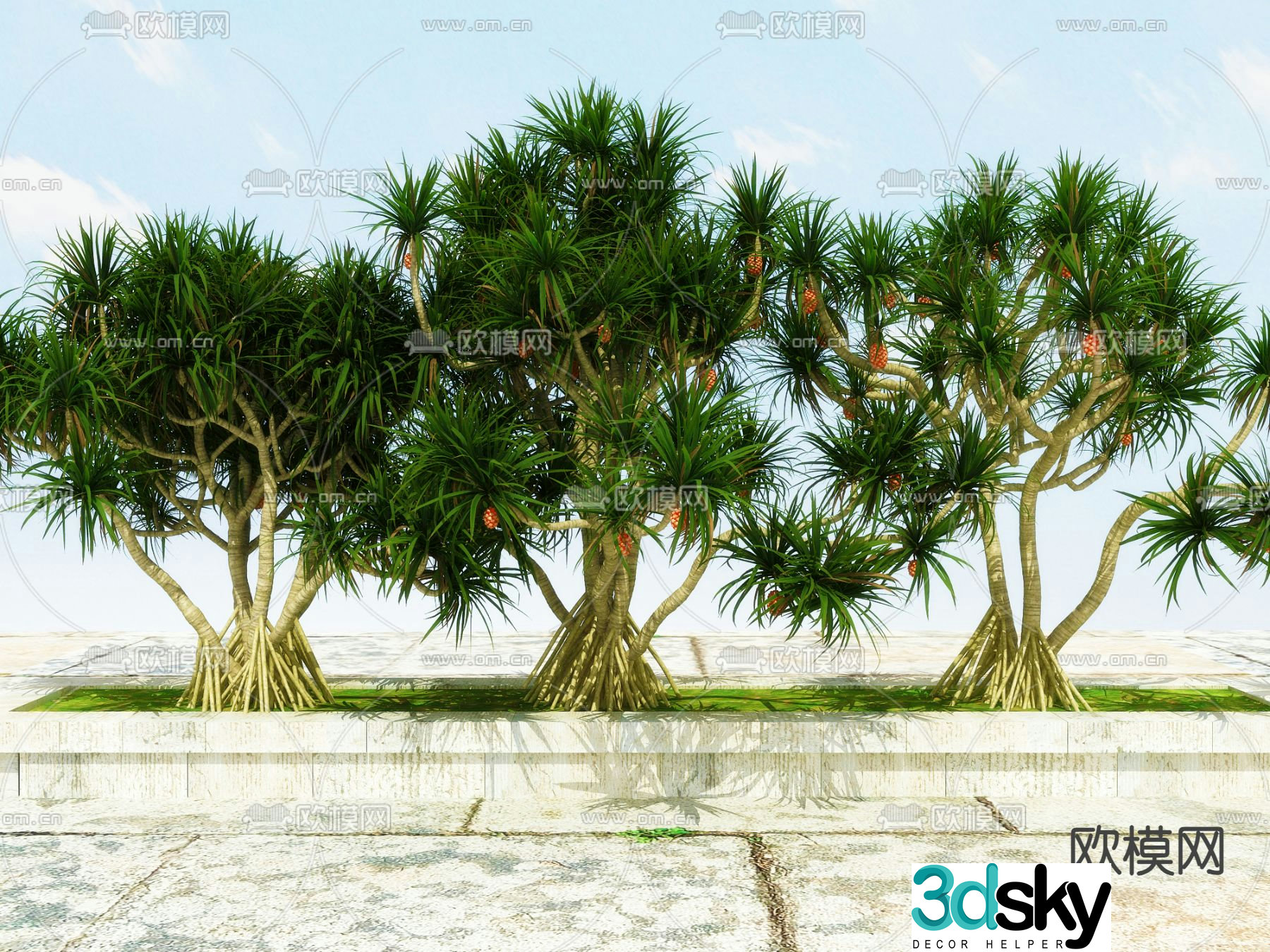 Plant tree Fruit tree Pineapple tree 3d model