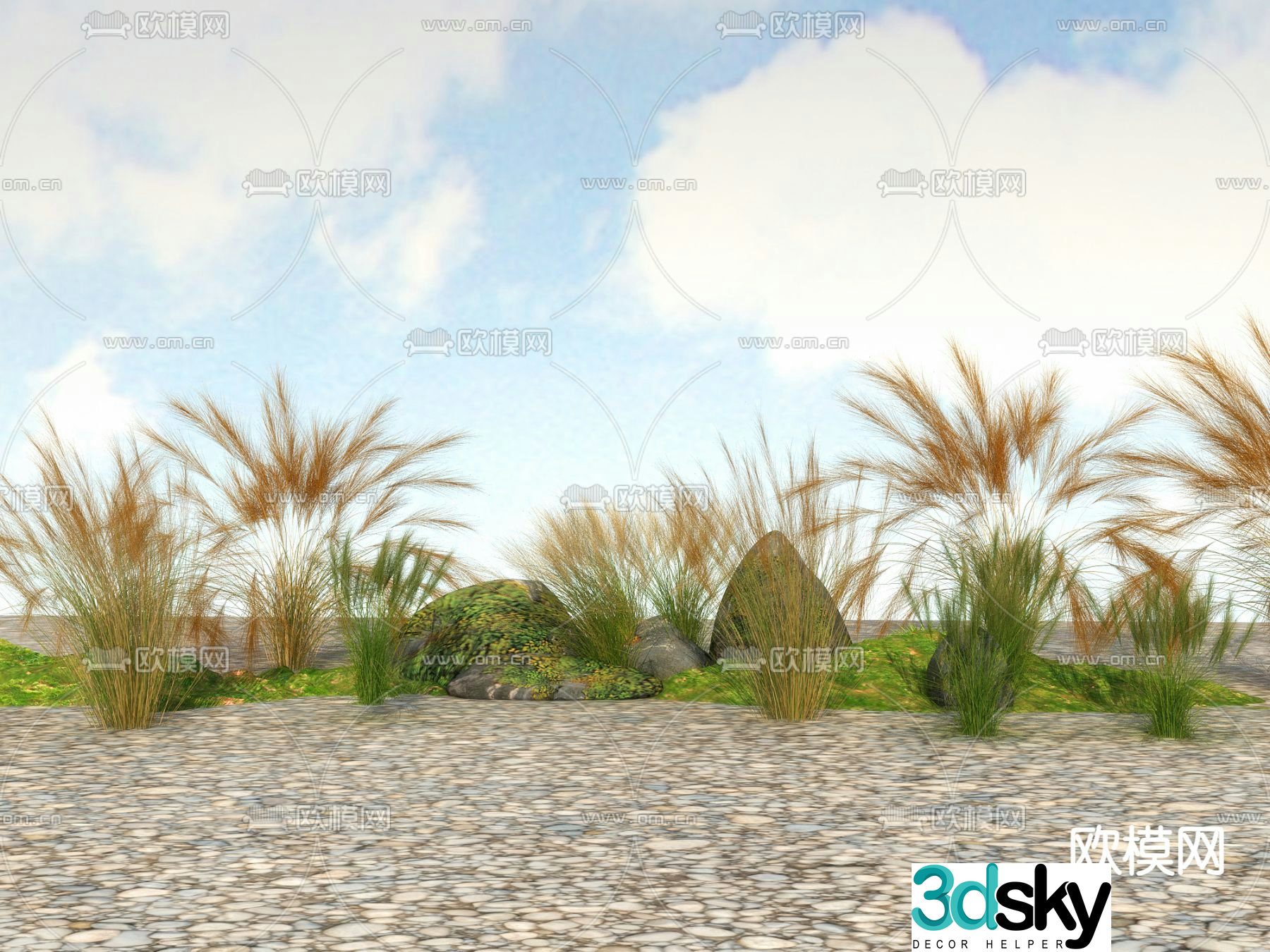 Flowers and plants Wildflowers 3D model