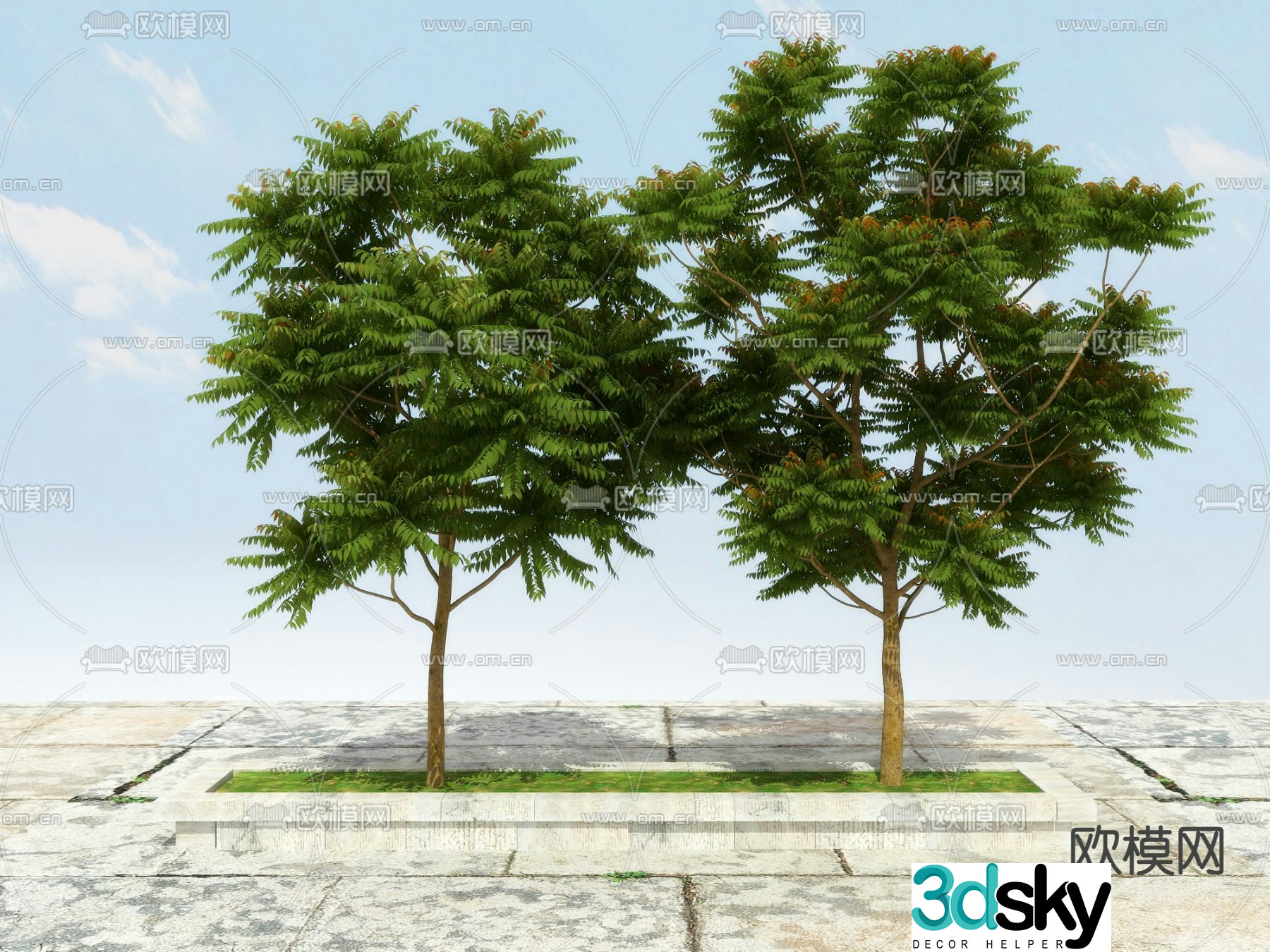 Herbs tree fragrant spring tree 3d model