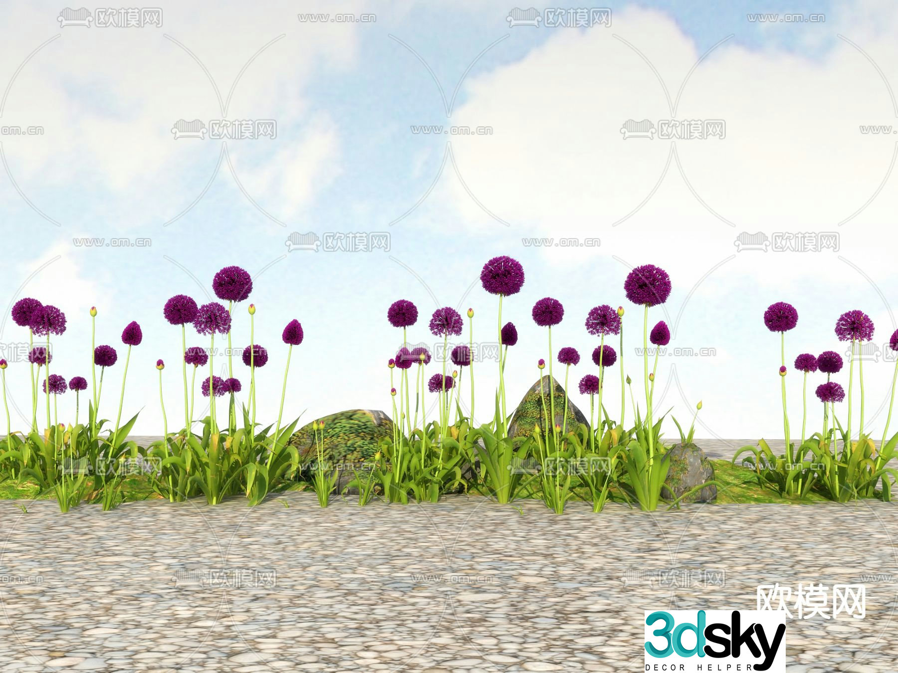 Flowers and plants Wild flowers Big flowers onion 3D model