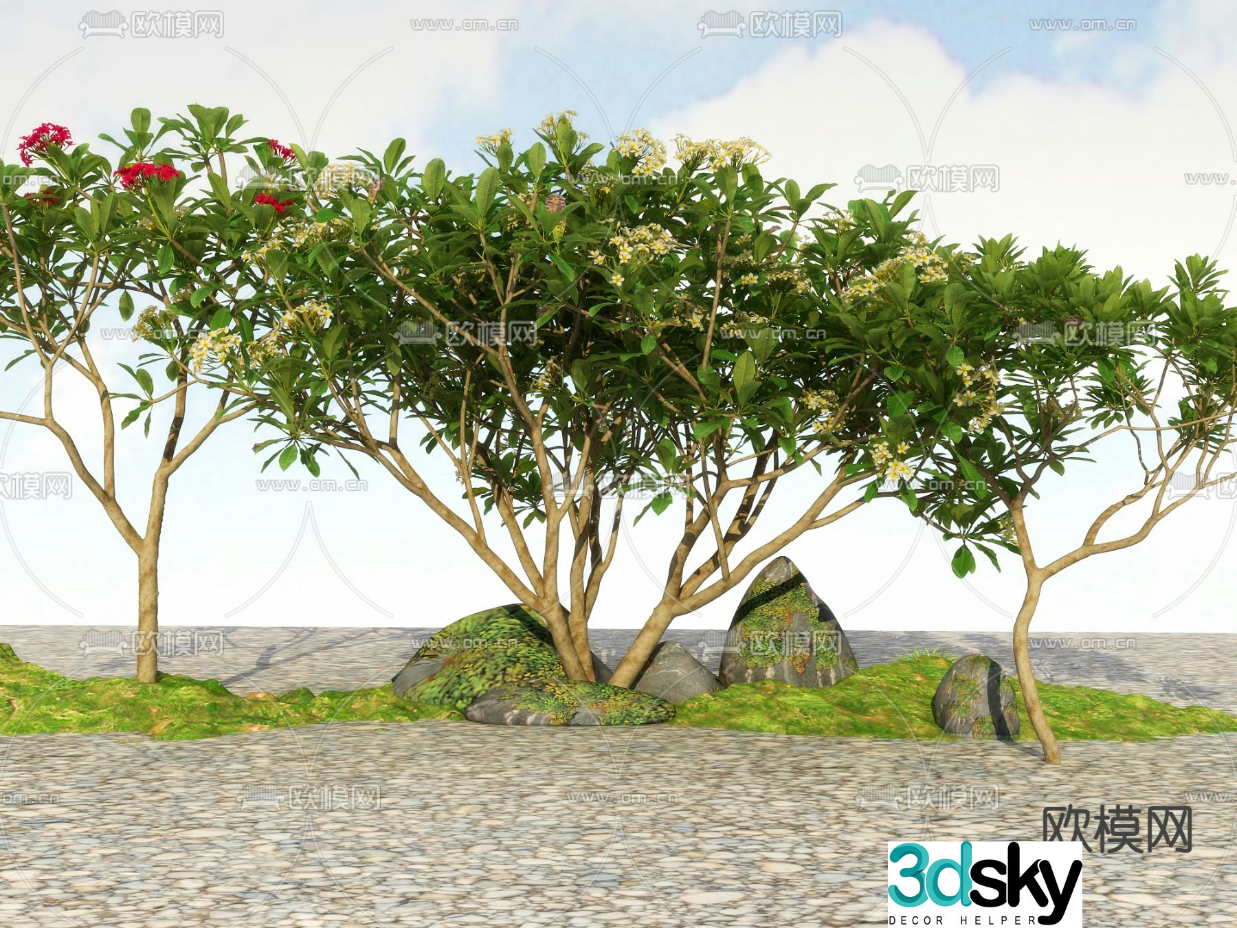 Big tree Landscape tree Street tree 3d model