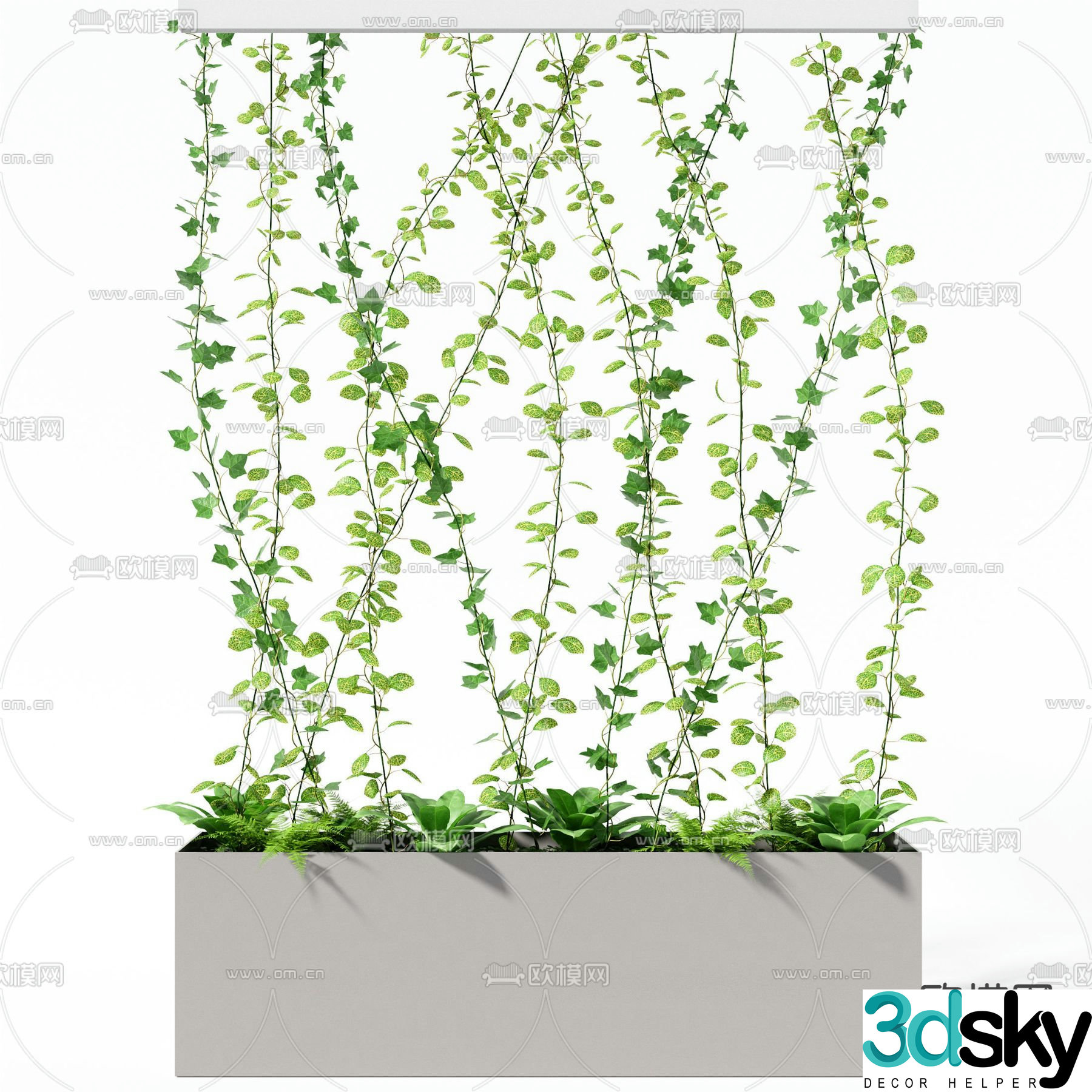 Morning glory flower box flower slot climbing 3D model