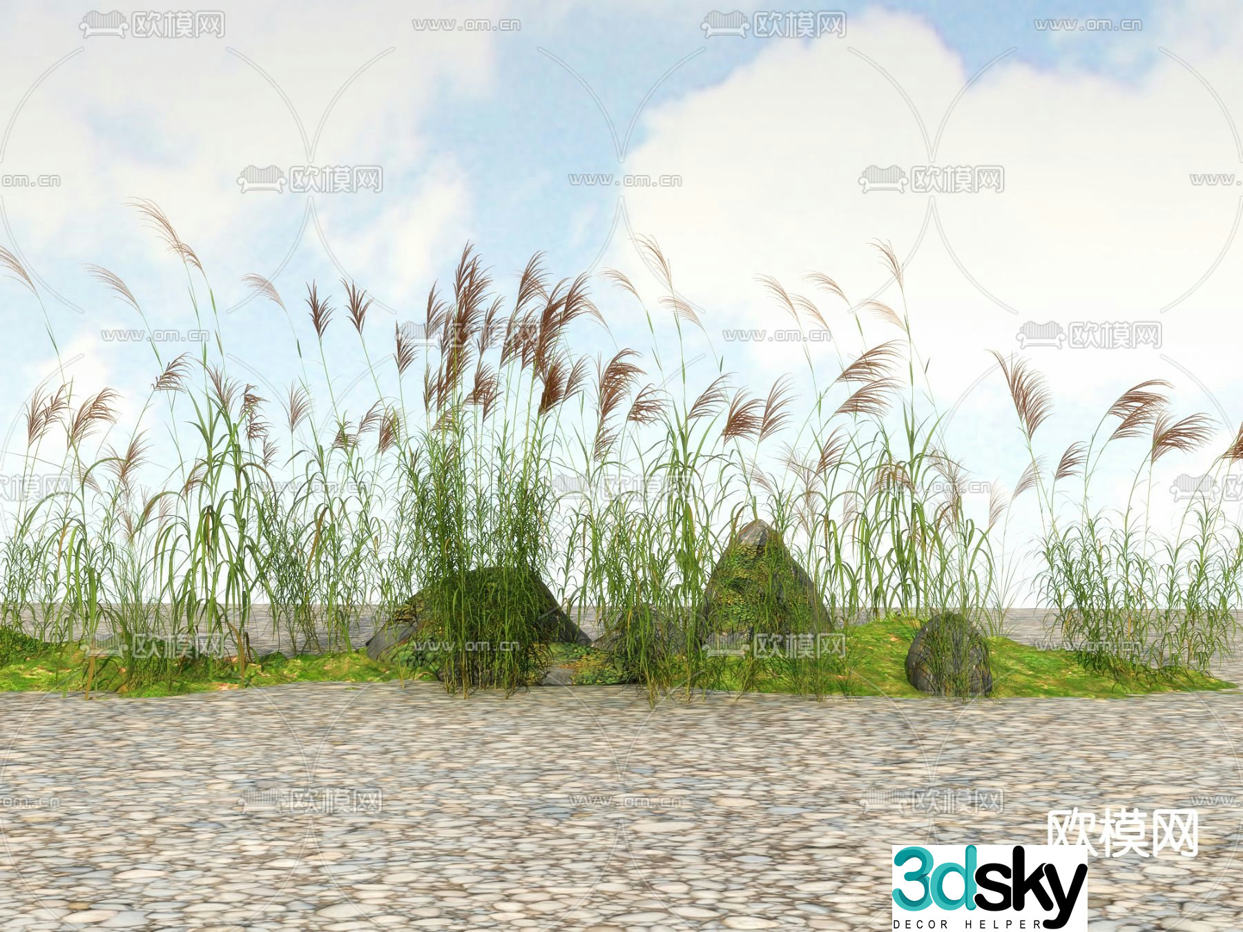 Flowers and plants Wild grass Reeds 3D model