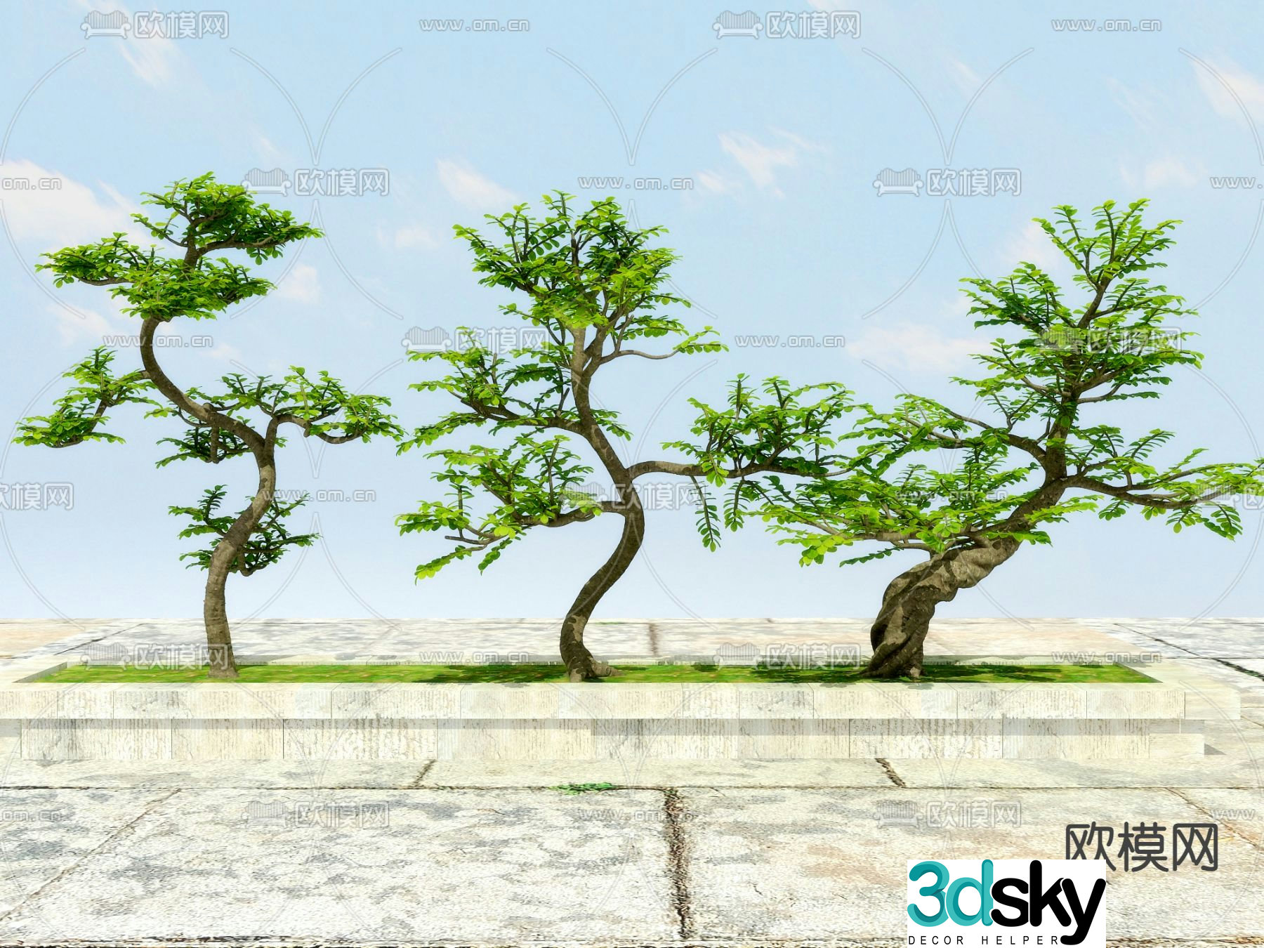 Big tree tree tree outdoor plant 3d model