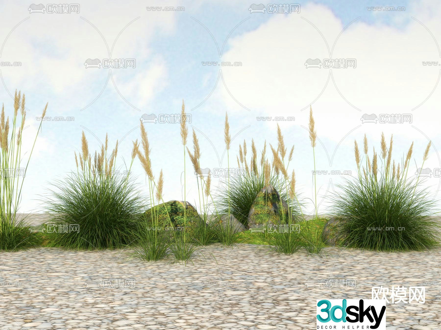 Flowers and plants Wild grass Reeds 3D model