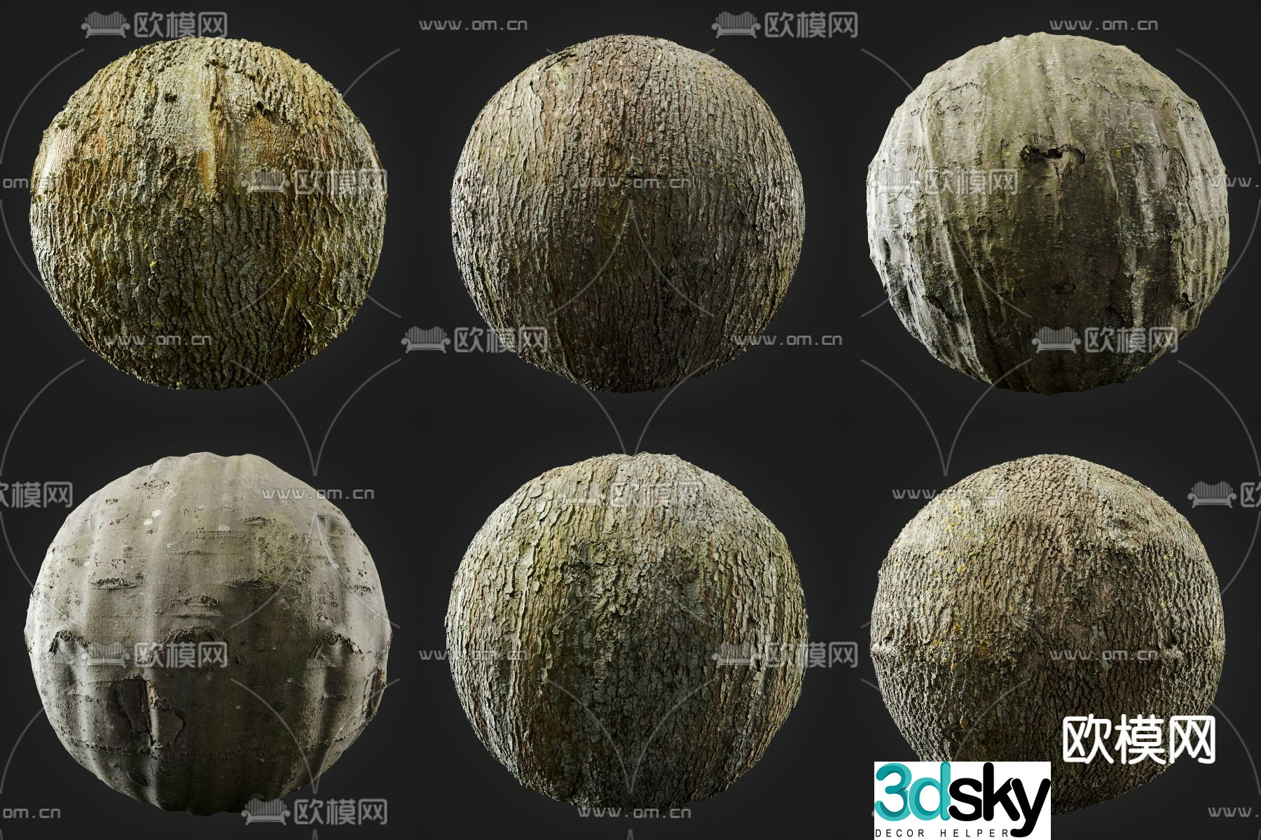 bark tree grain wood grain 3d model