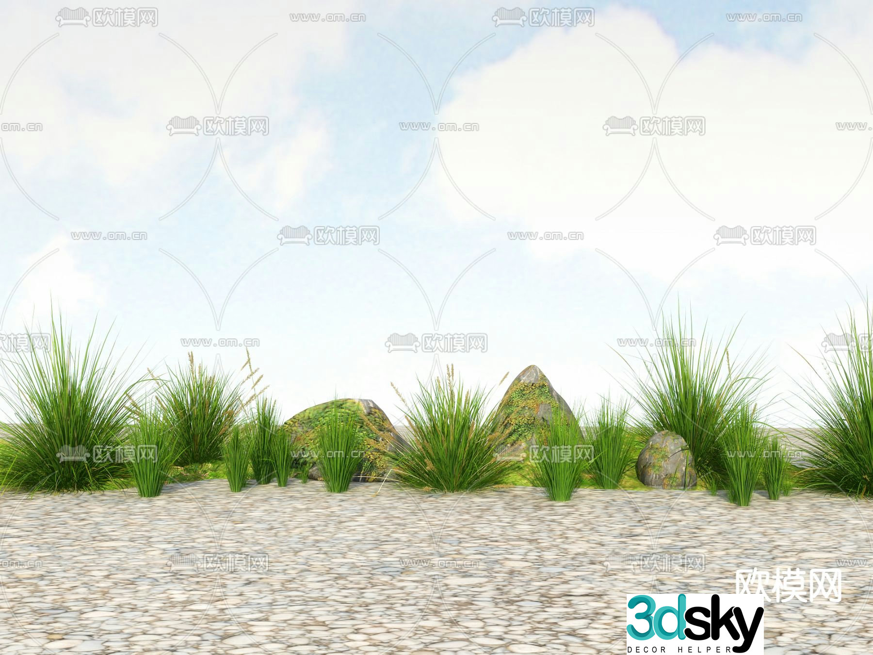 Flowers and plants Wild grass Wild flowers 3d model