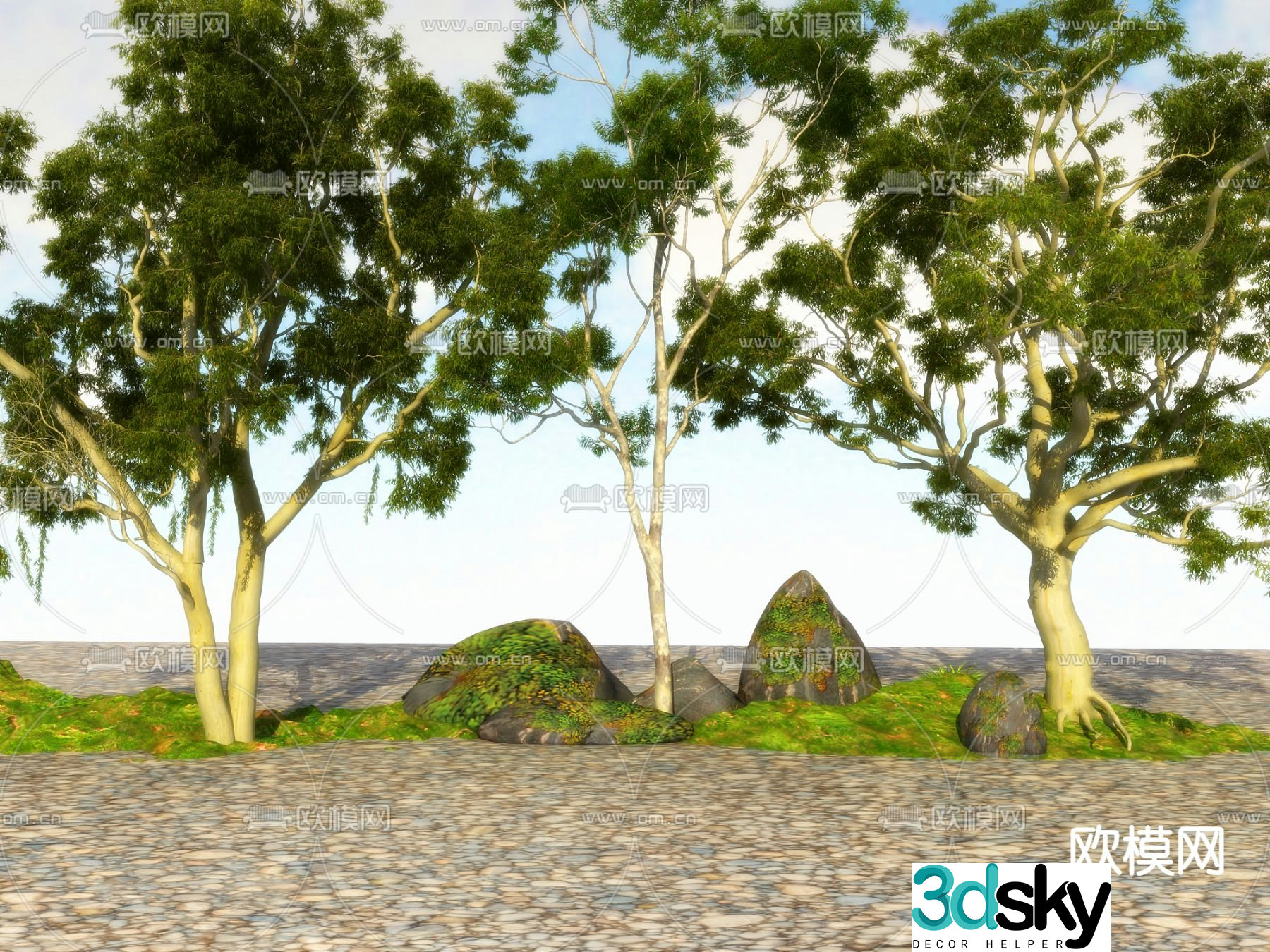 Big tree Landscape tree Street tree 3d model