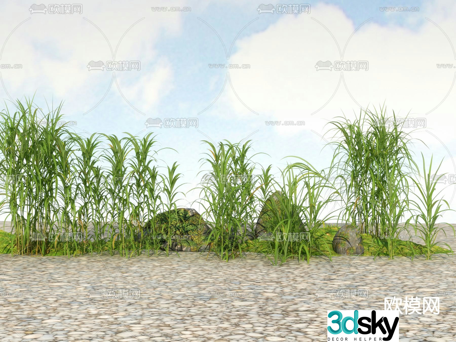 Flowers and plants Wild grass Weeds 3d model