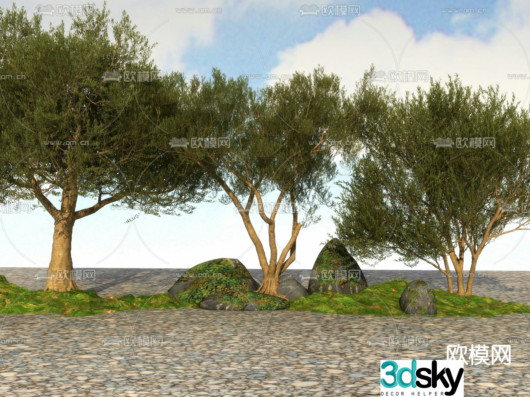 Big tree Landscape tree Street tree 3d model