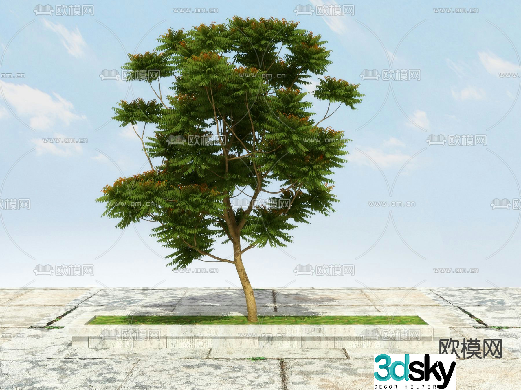 Herbs Tree Toon Tree 3D Model