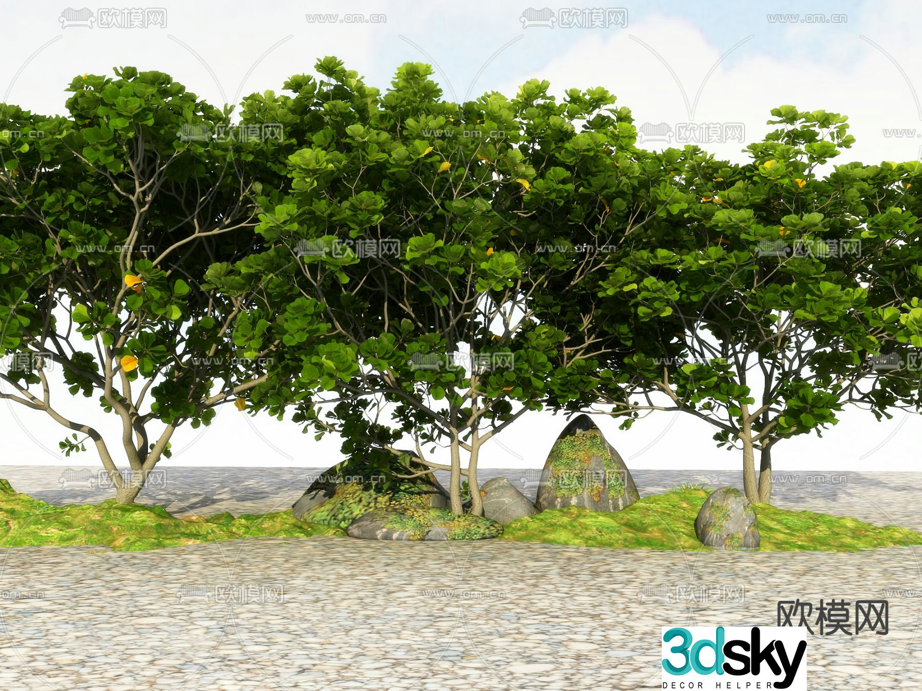 Big tree Landscape tree Street tree 3d model