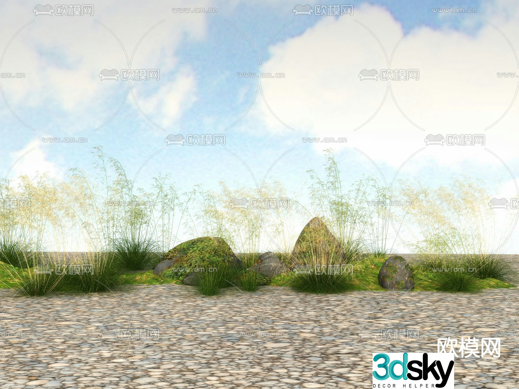 Flowers and plants Wildflowers 3D model