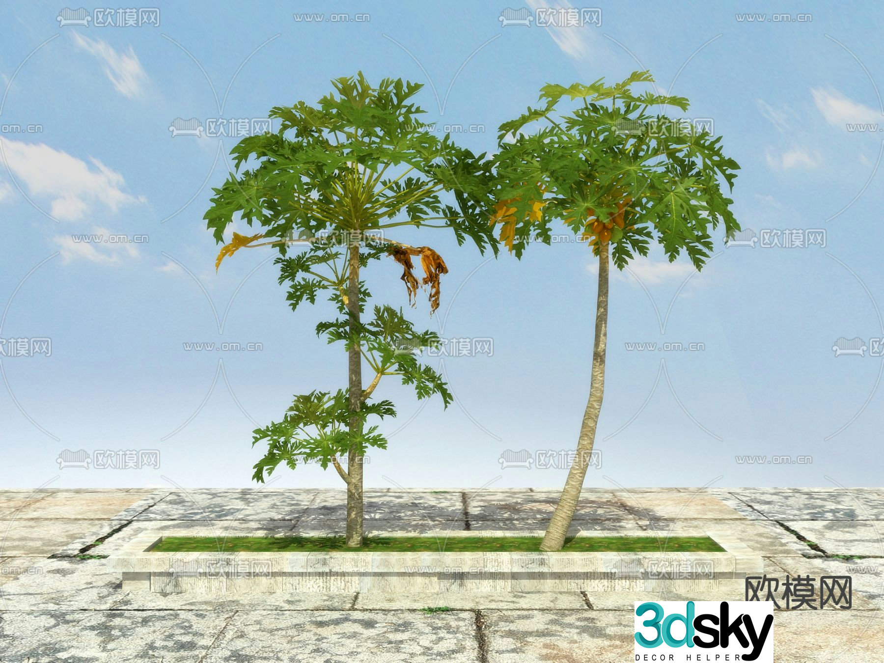 Landscape tree Fruit tree Papaya tree 3d model