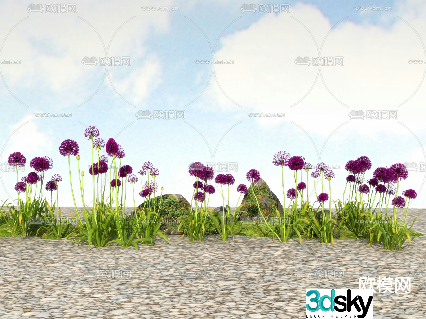 Flowers and plants Wild flowers Big flowers onion 3D model