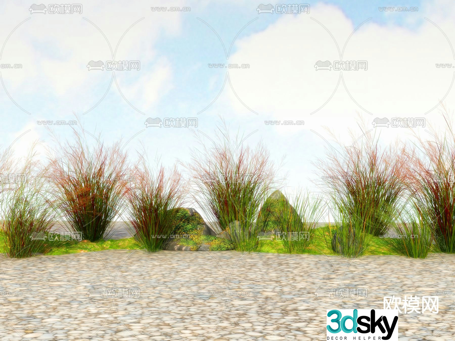 Flowers and plants Wildflowers 3D model