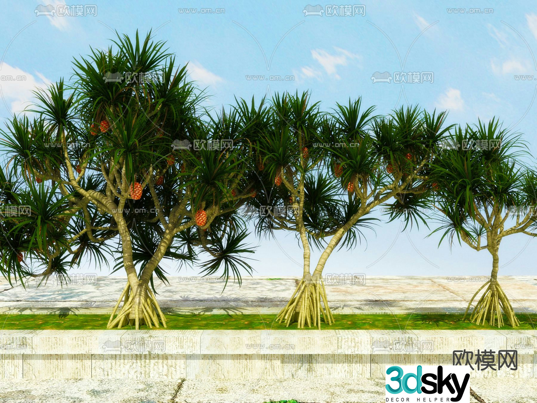 Landscape tree Plant tree Pineapple tree 3d model