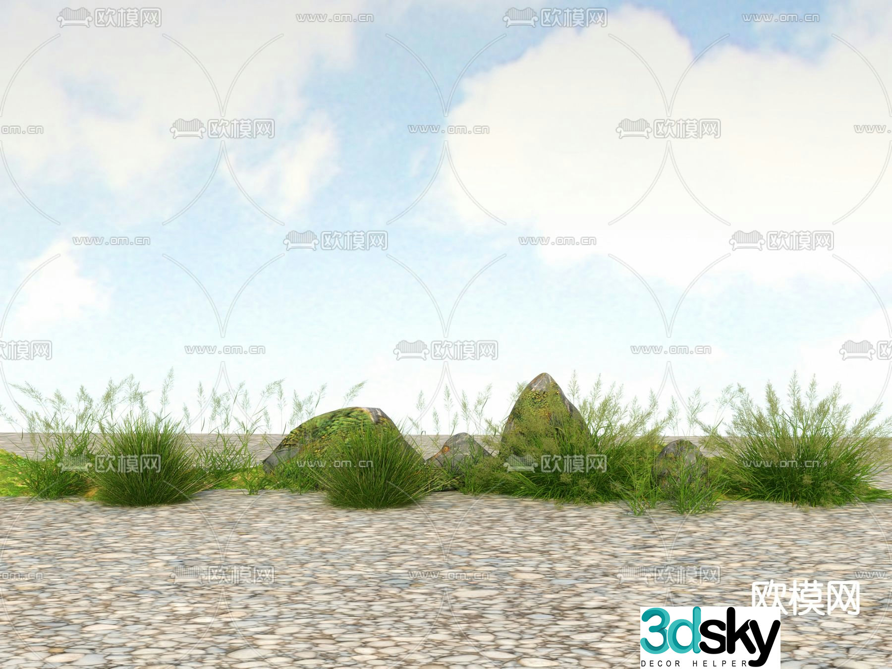 Flowers and plants Wild grass Reeds 3D model