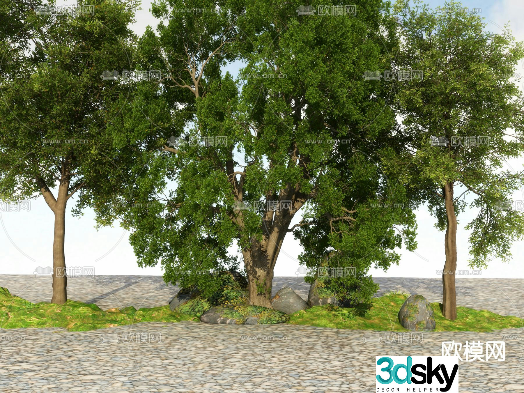 Big tree Landscape tree Street tree 3d model