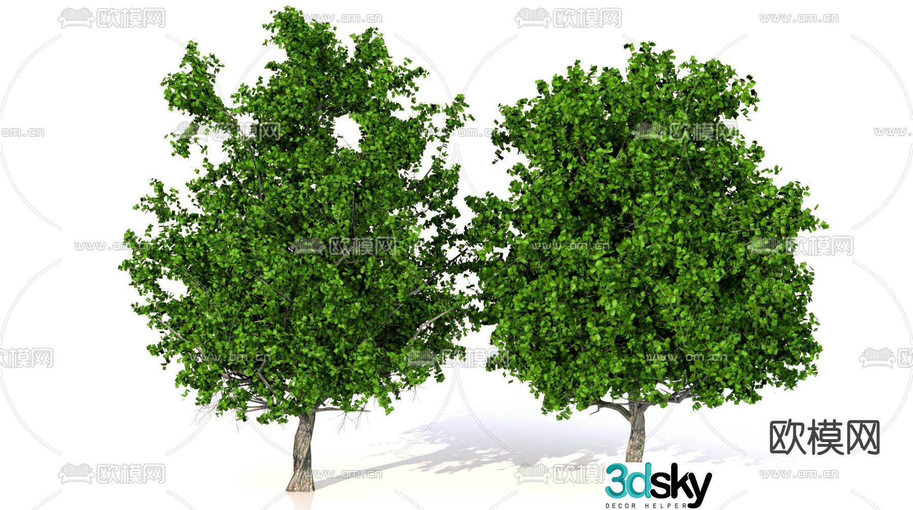 Landscape tree Street tree Poplar 3D model