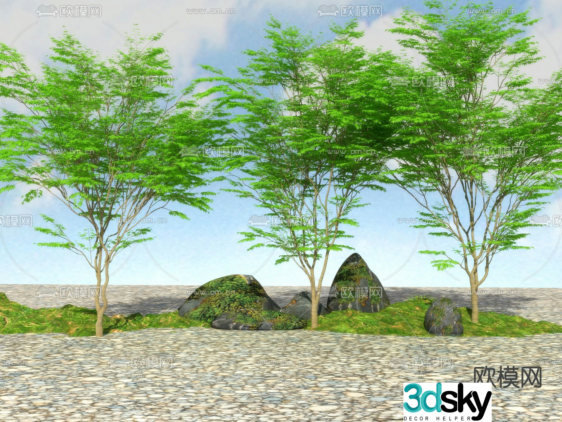 Landscape tree Big tree Maple claw 3d model