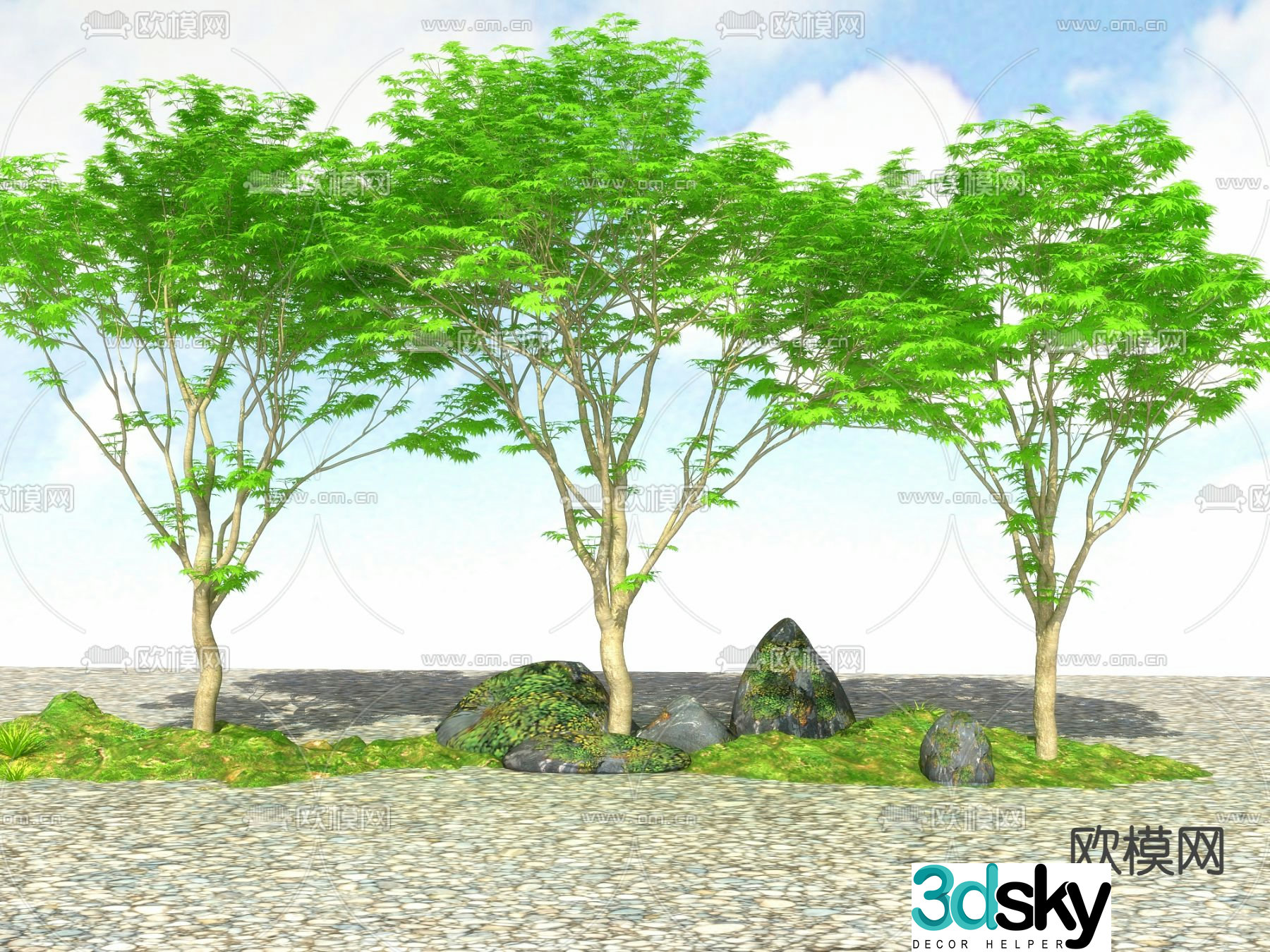 Landscape tree Street tree Big tree Maple tree 3d model