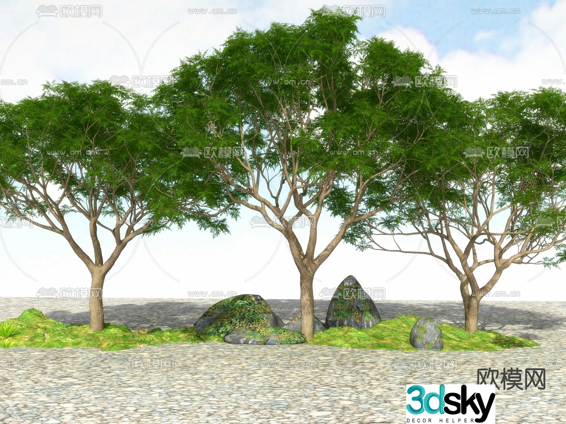 Landscape tree Street tree Big tree Tree Tree 3D model