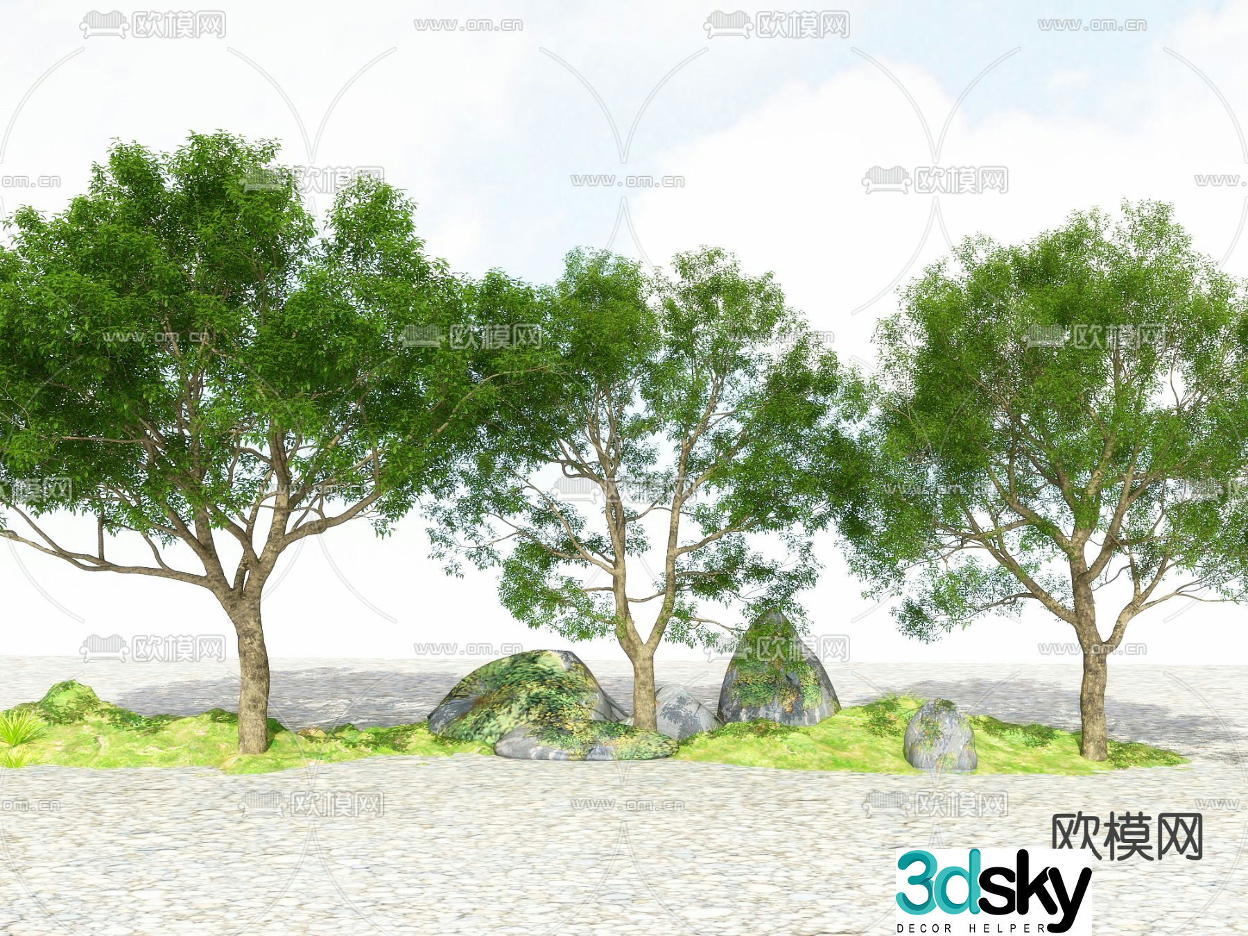 Landscape tree Street tree Big tree Tree Tree 3D model