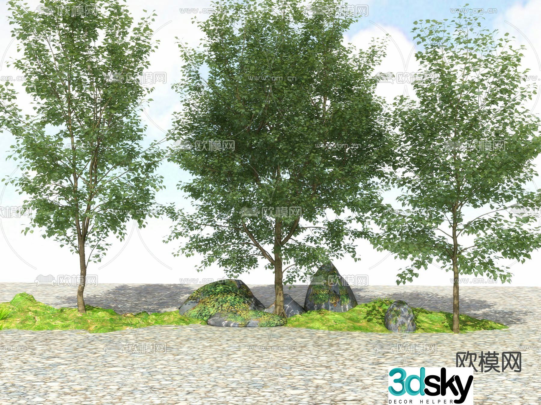 Big tree Landscape tree Street tree 3d model