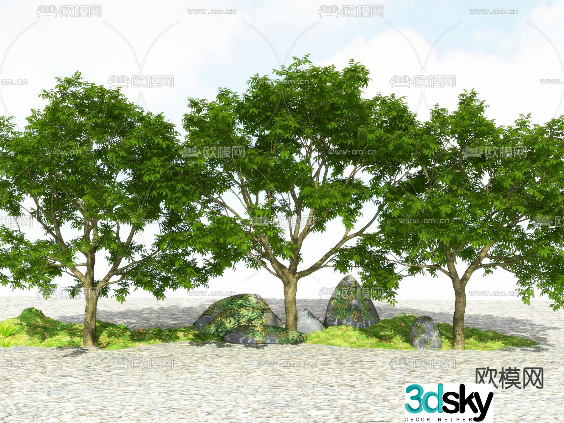 Landscape tree Street tree Big tree Tree Tree 3D model