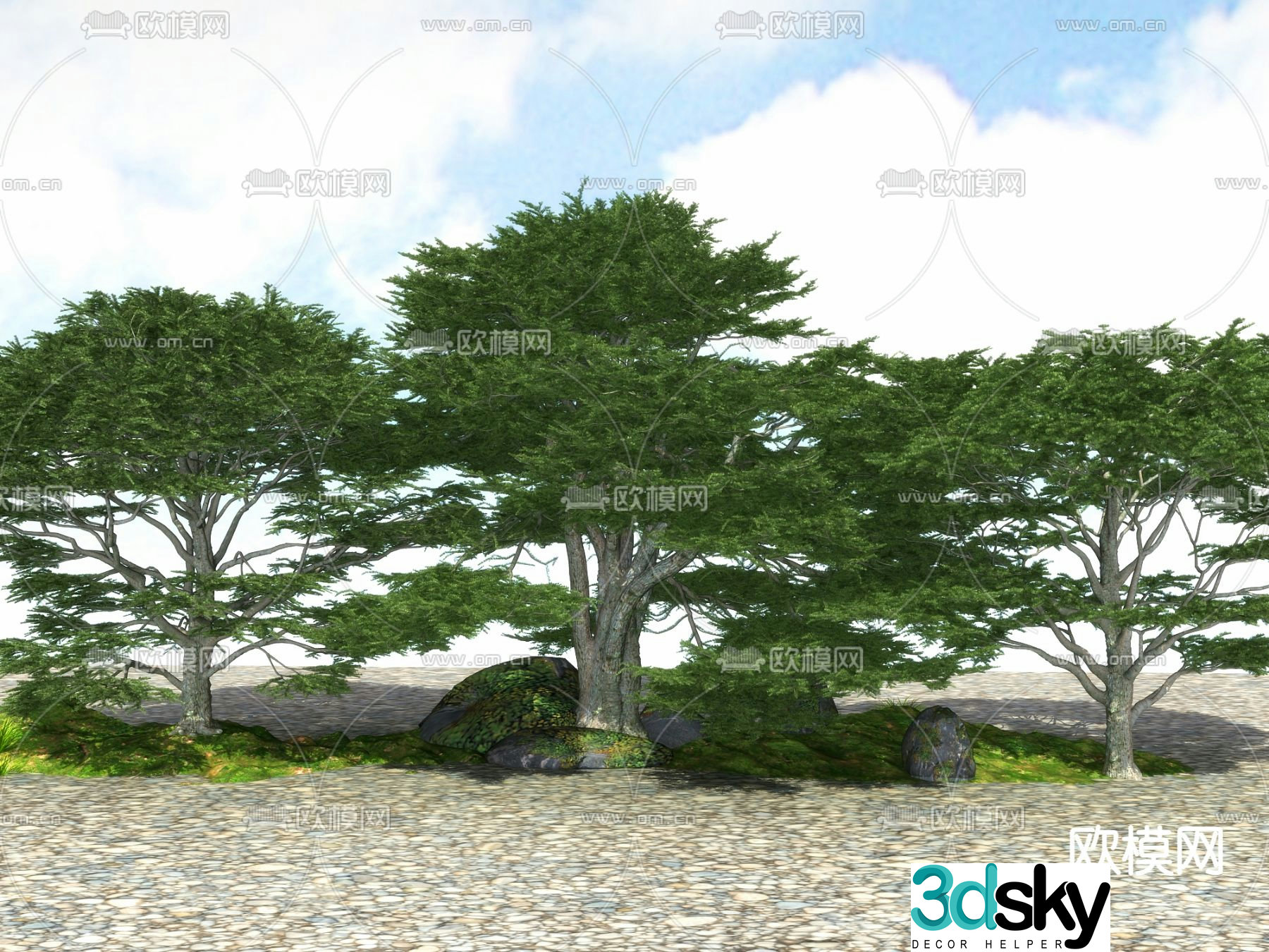 Big tree Landscape tree Street tree 3d model