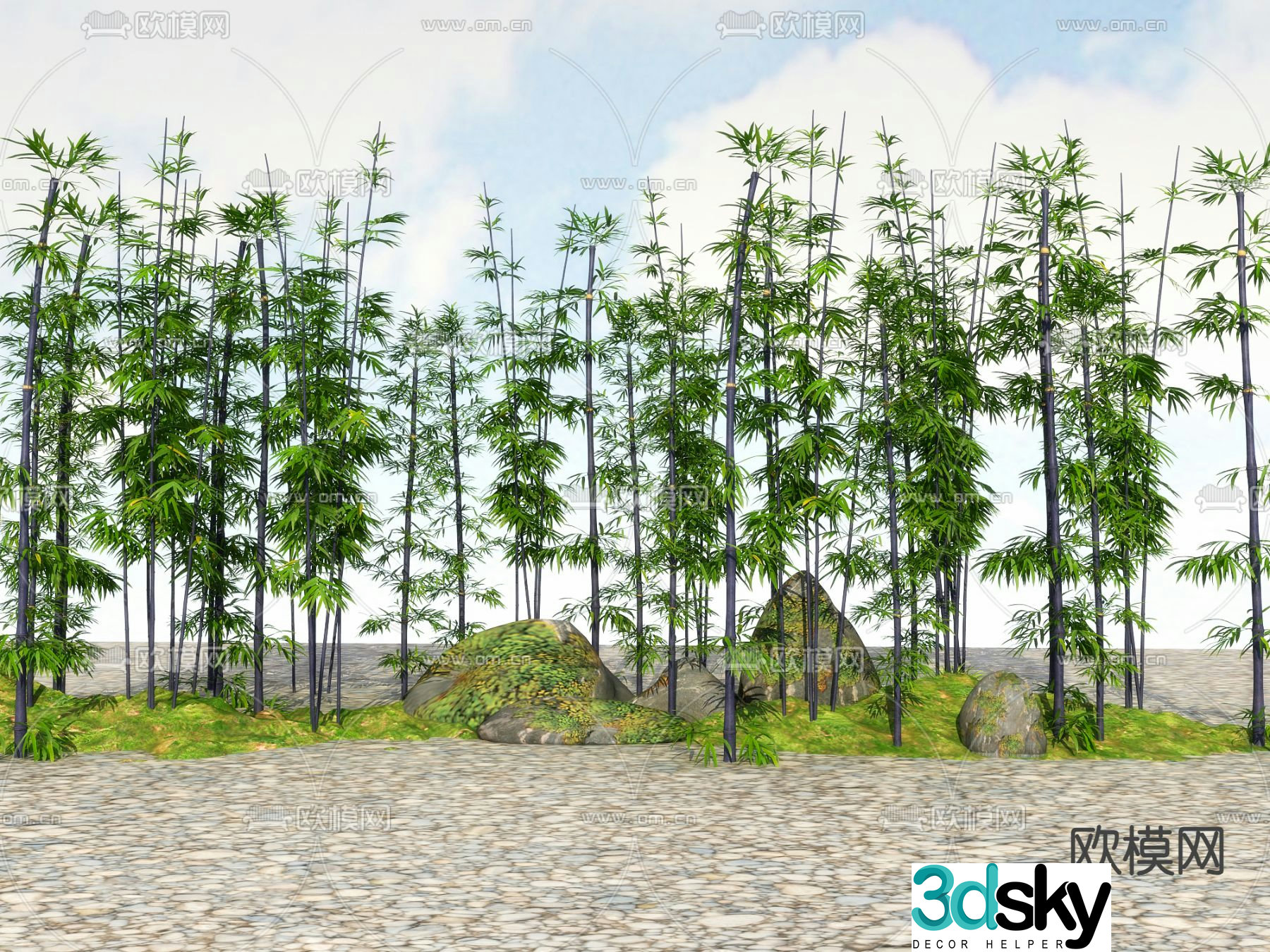 Bamboo Green Bamboo Rich Bamboo 3D Model