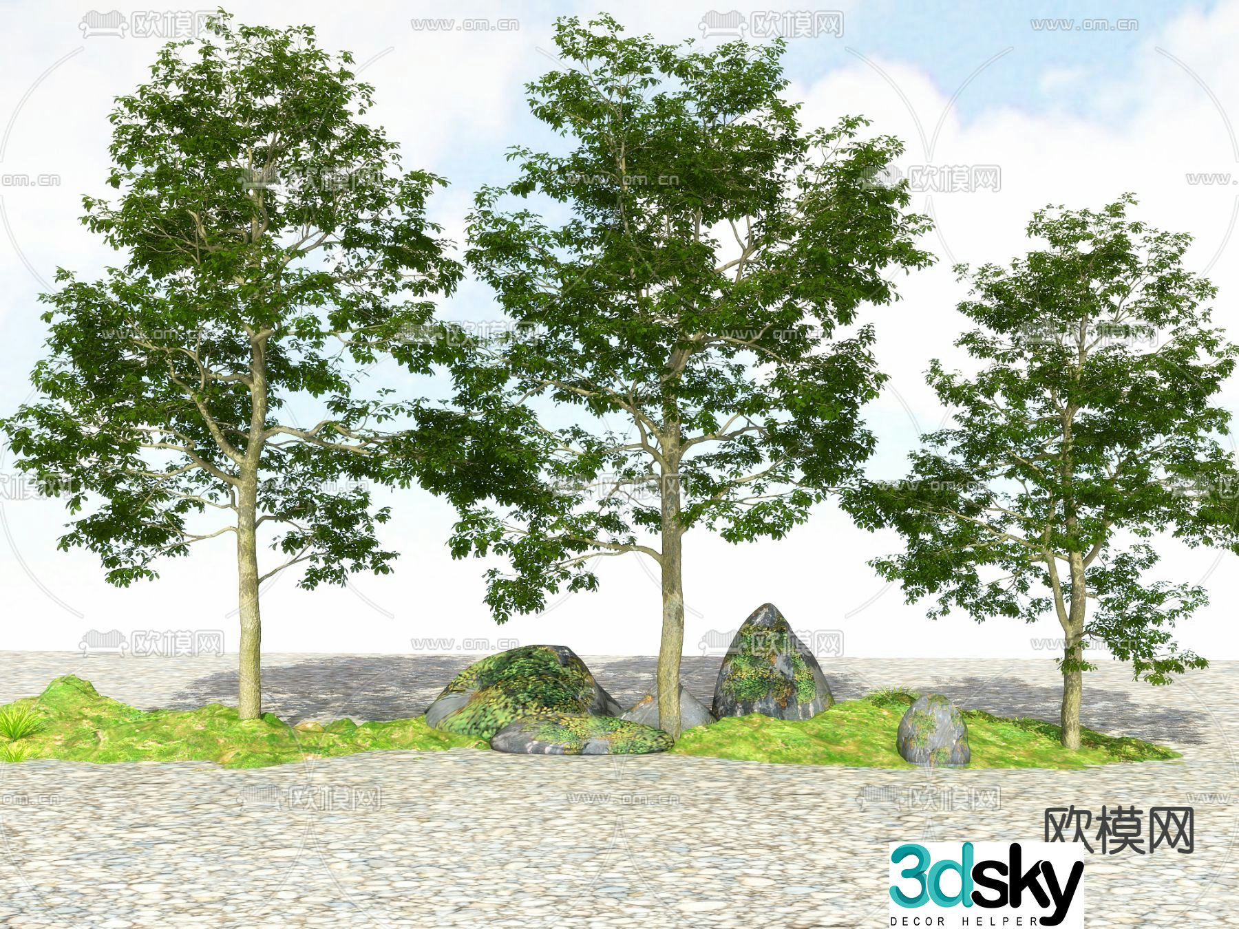 Landscape tree Street tree Big tree Tree Tree 3D model