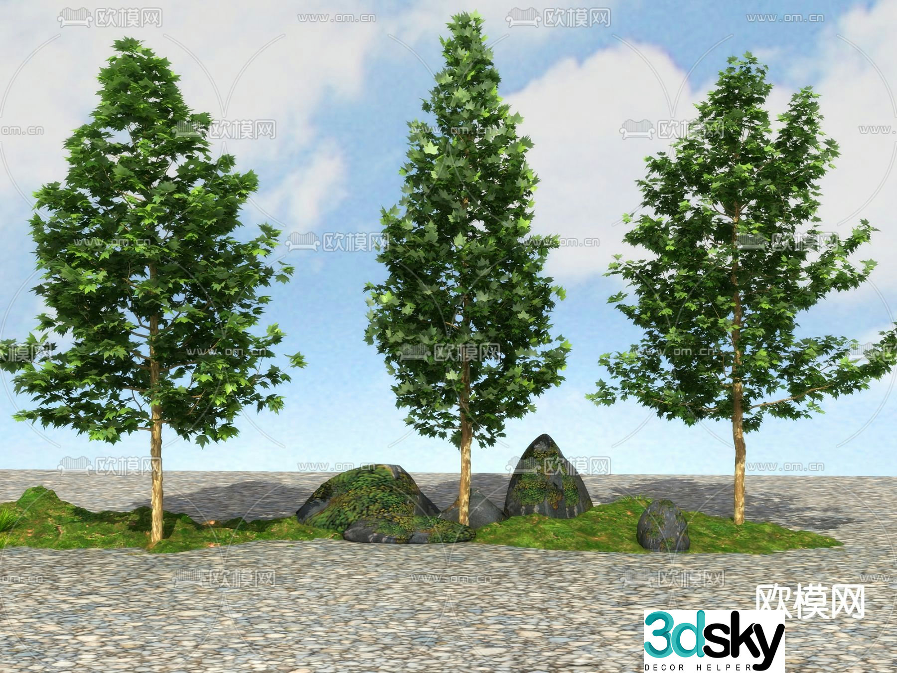 Big tree Landscape tree Street tree 3d model