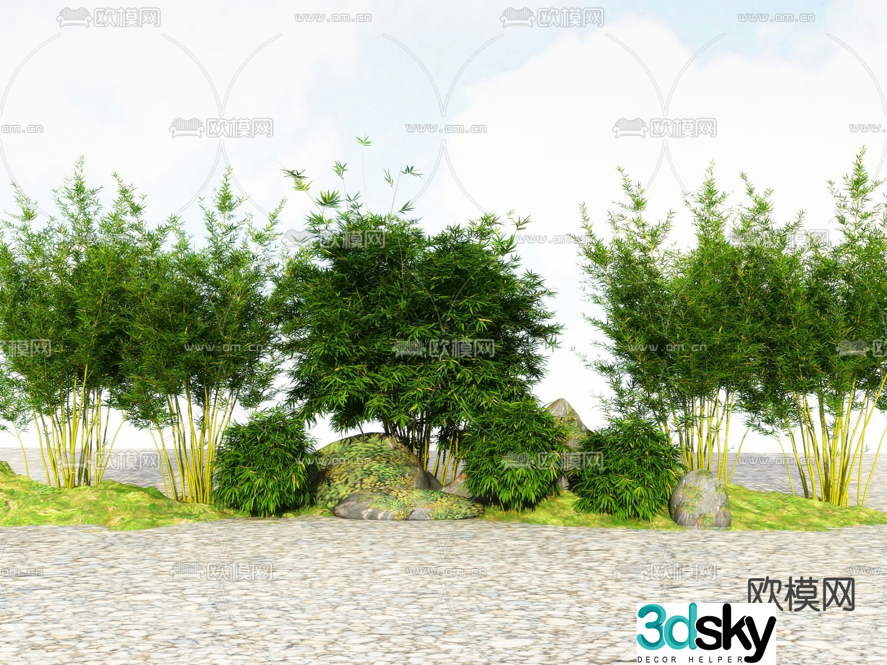 Bamboo Green Bamboo Rich Bamboo 3D Model