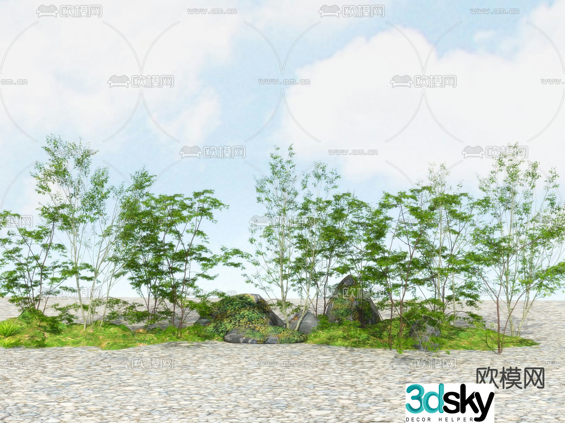 Landscape tree Street tree Big tree Fine leaf plant 3d model