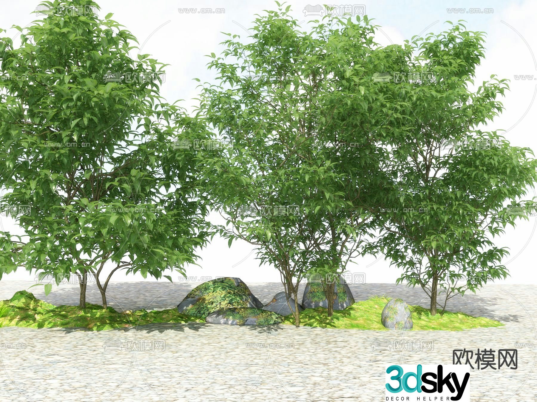 Big tree Landscape tree Street tree 3d model