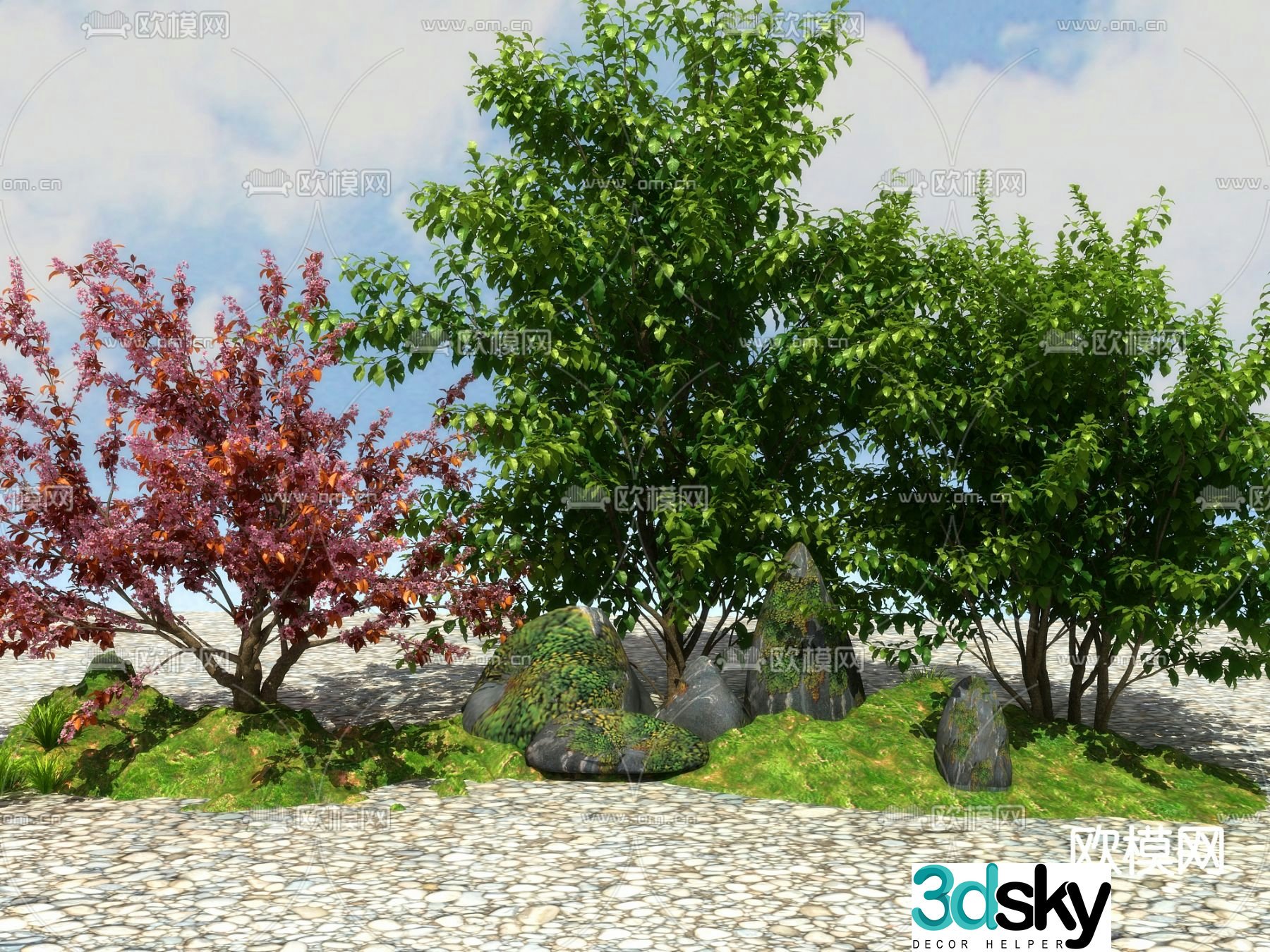 Landscape tree small tree purple leaf plum 3d model