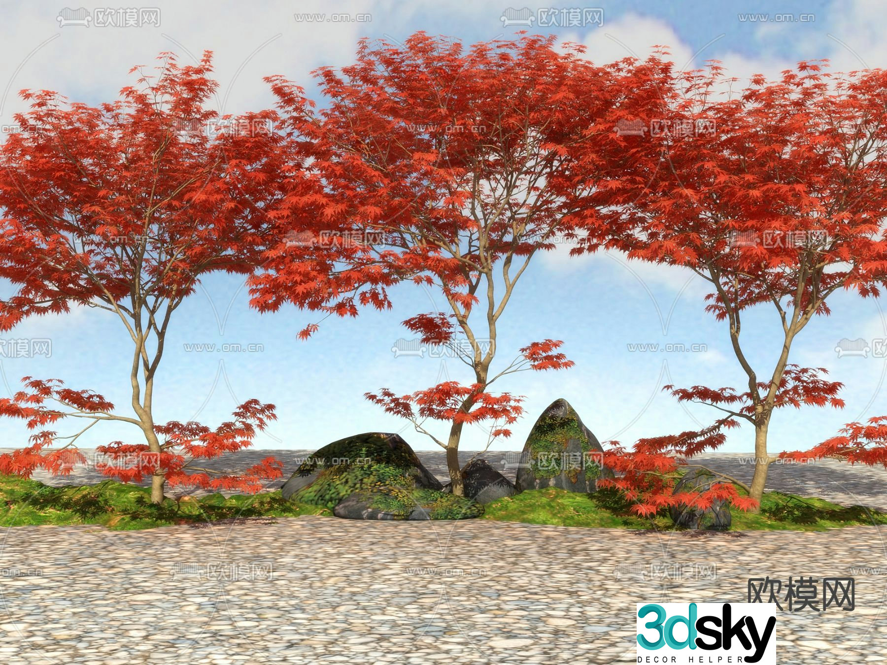 Landscape tree Big tree Red maple 3d model