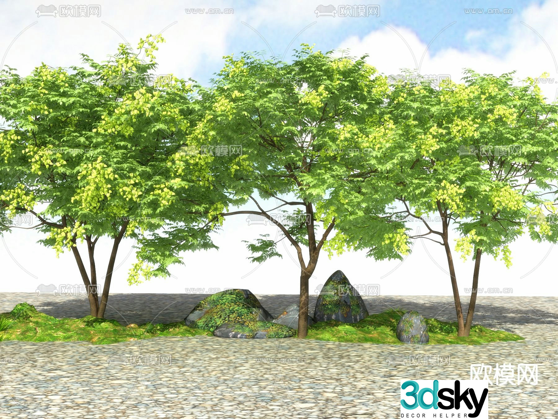 Big tree landscape tree street tree 3d model