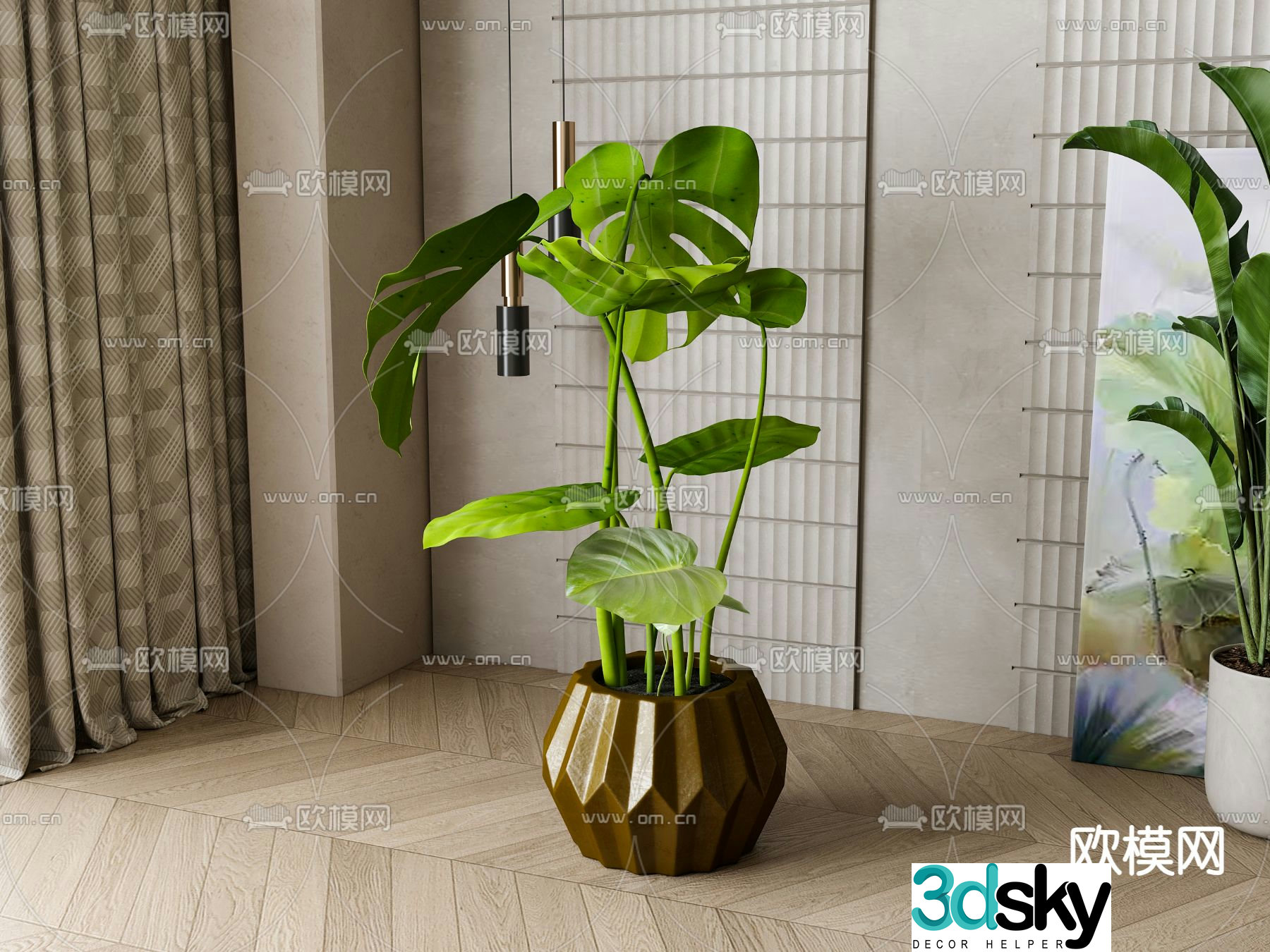 Turtle Leaf Green Plant Potted 3D Model