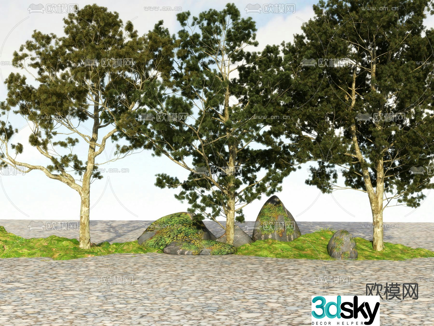 Big tree Landscape tree Street tree 3d model