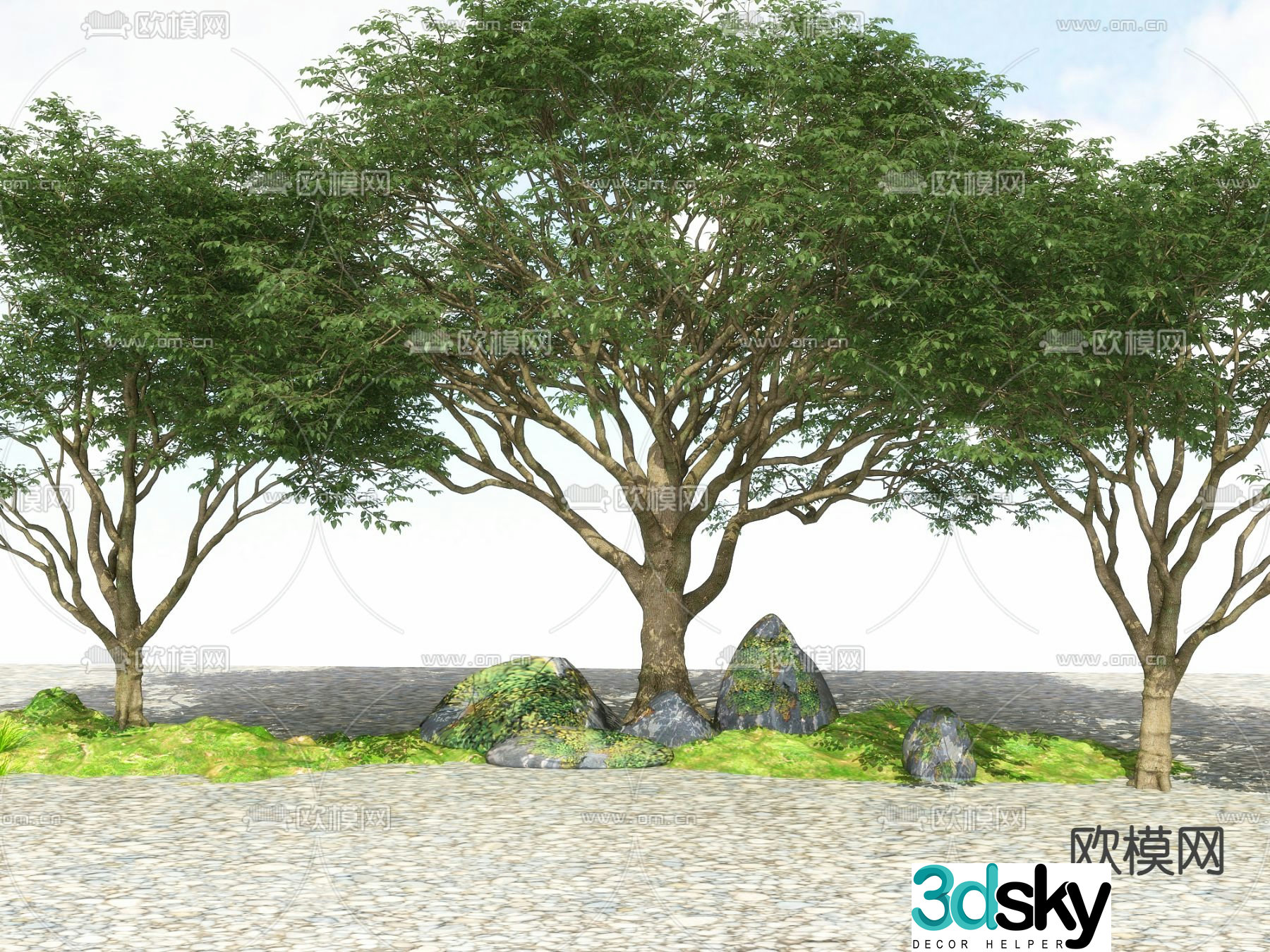 Outdoor green plants tree tree big tree tree 3d model