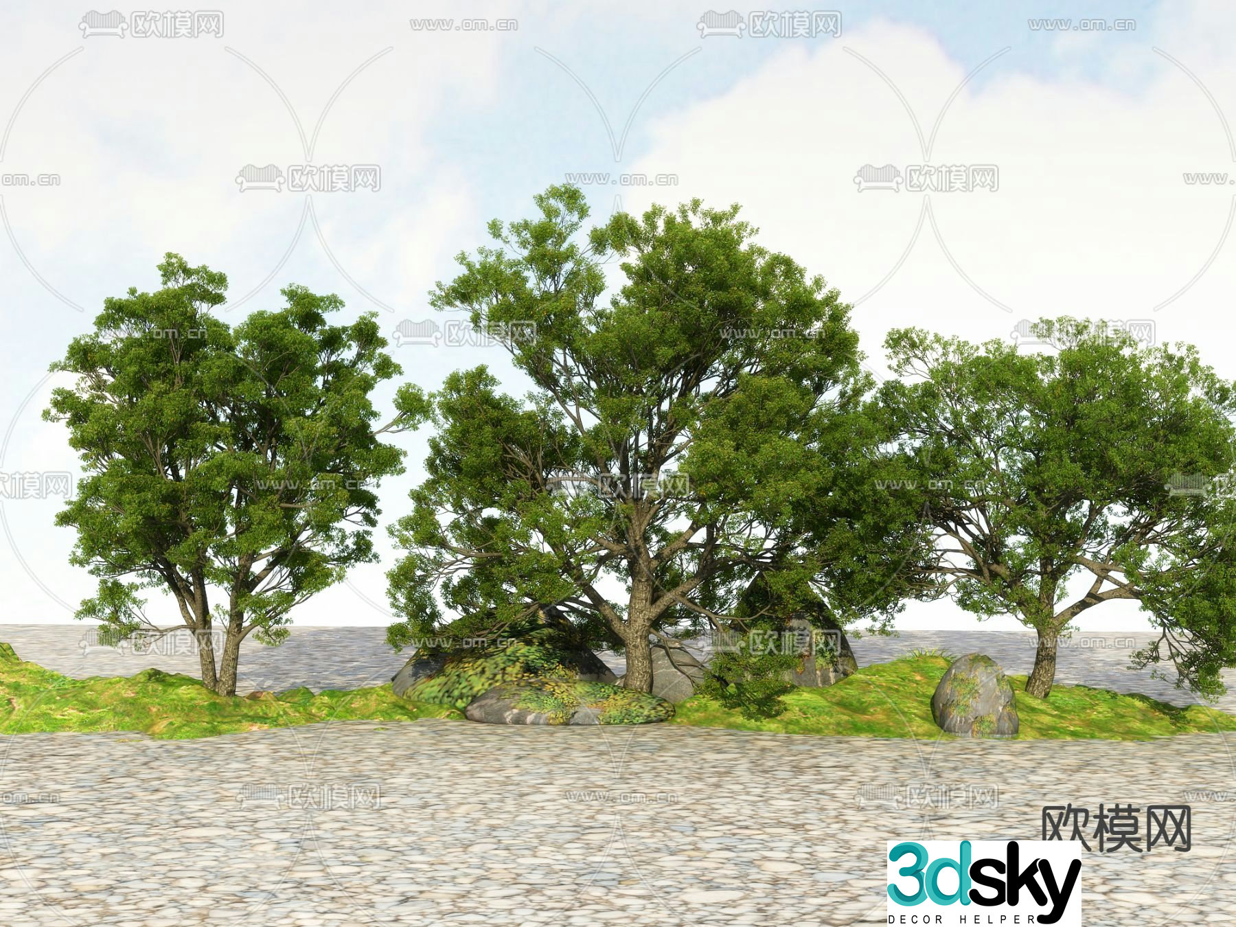 Big tree Landscape tree Street tree 3d model