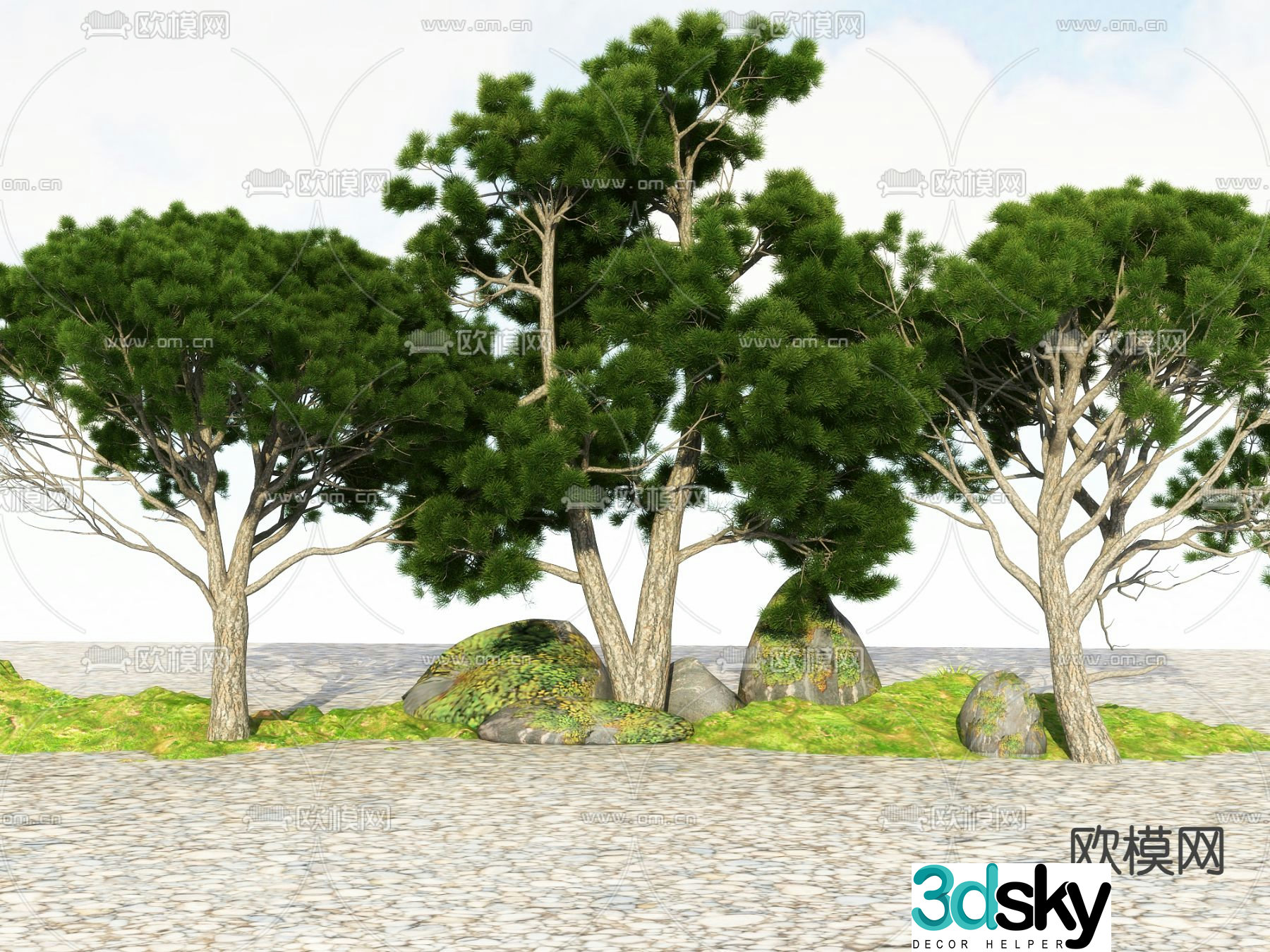 Big tree Landscape tree Street tree 3d model