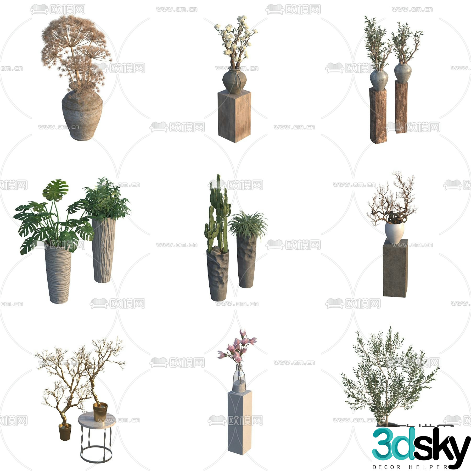 potted plant bonsai cactus monstera 3d model