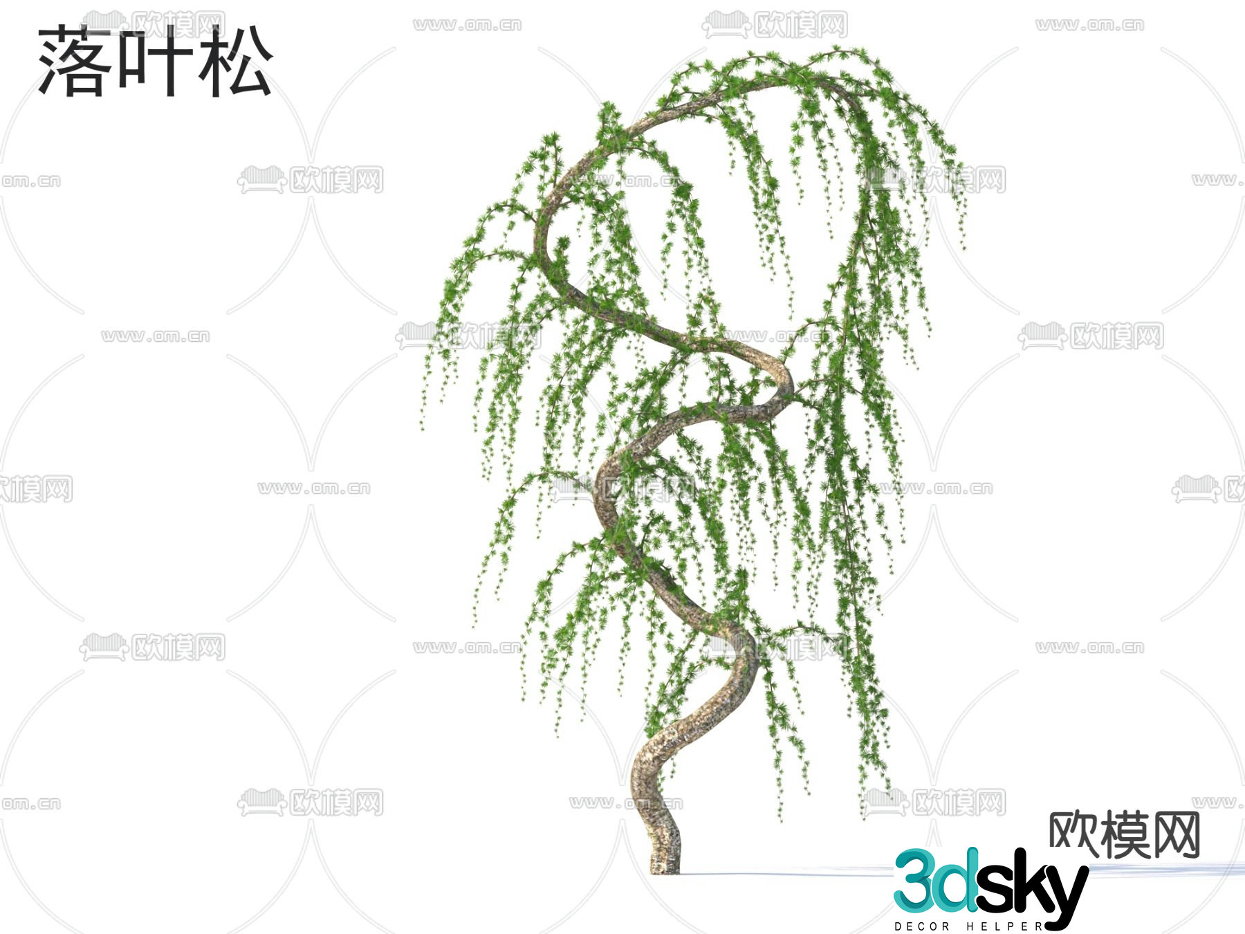 Small Tree Tree Willow 3D Model