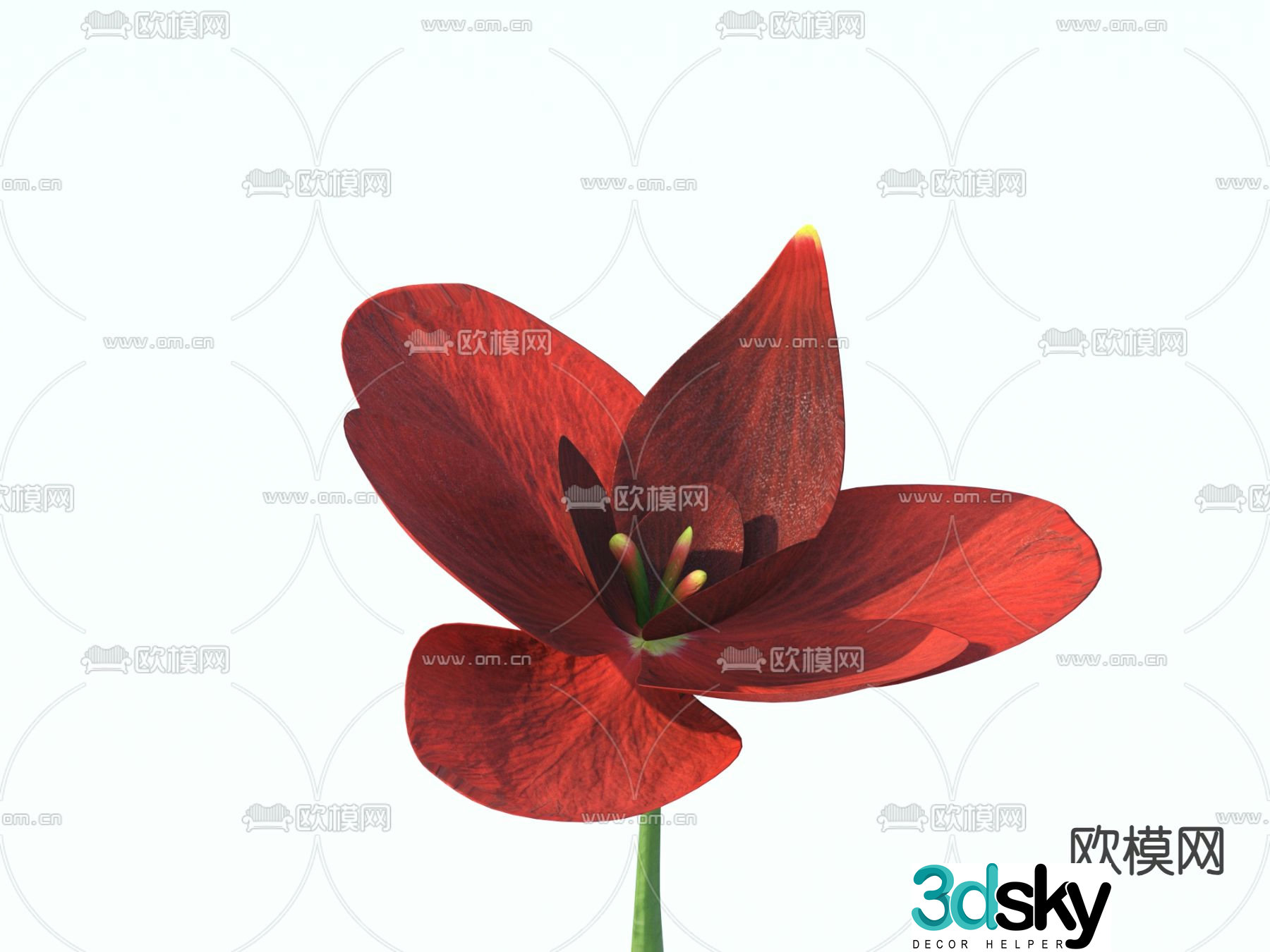 Flowers Wild Flowers 3d Model