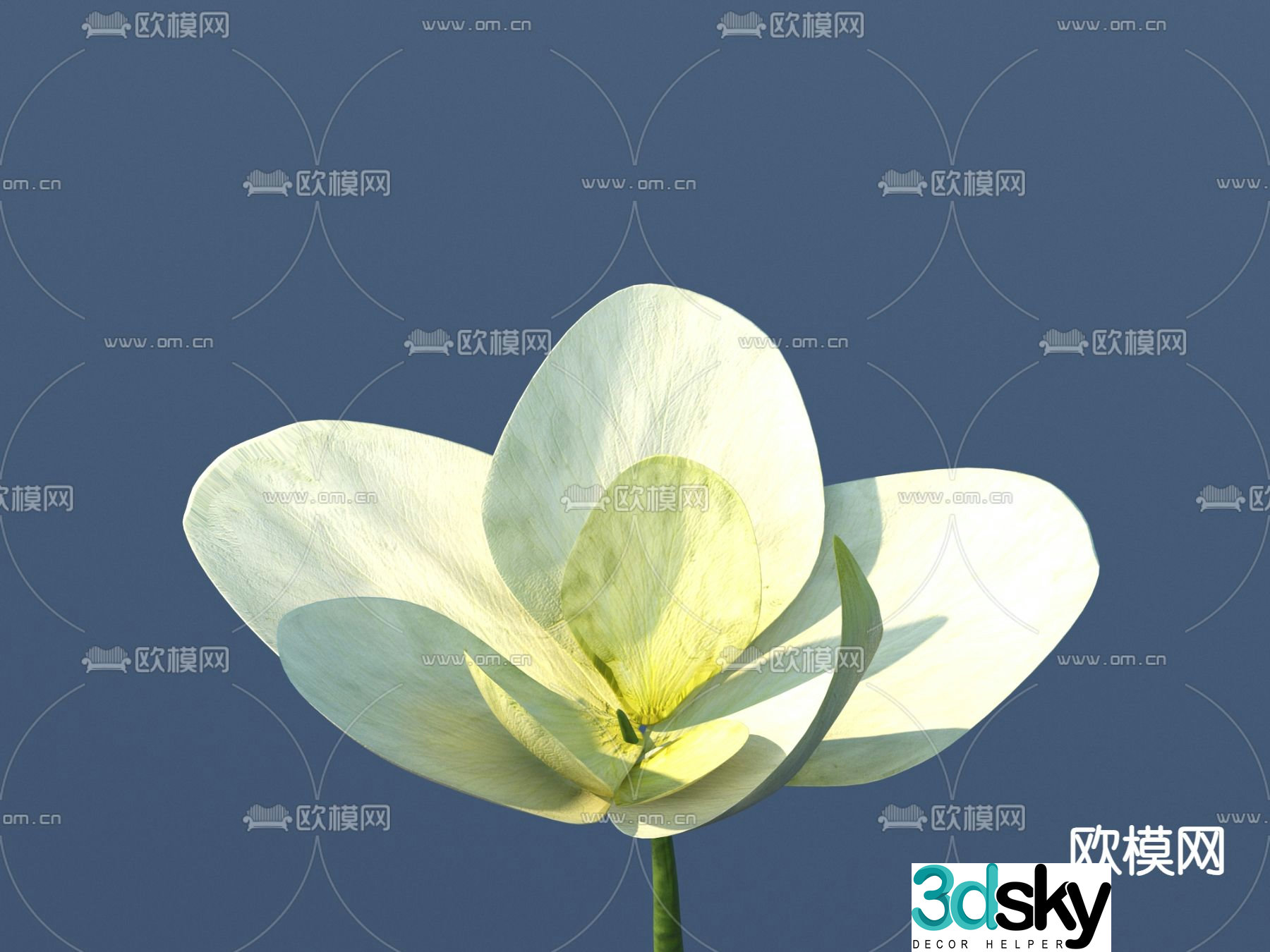 Flowers Wild Flowers 3D Model