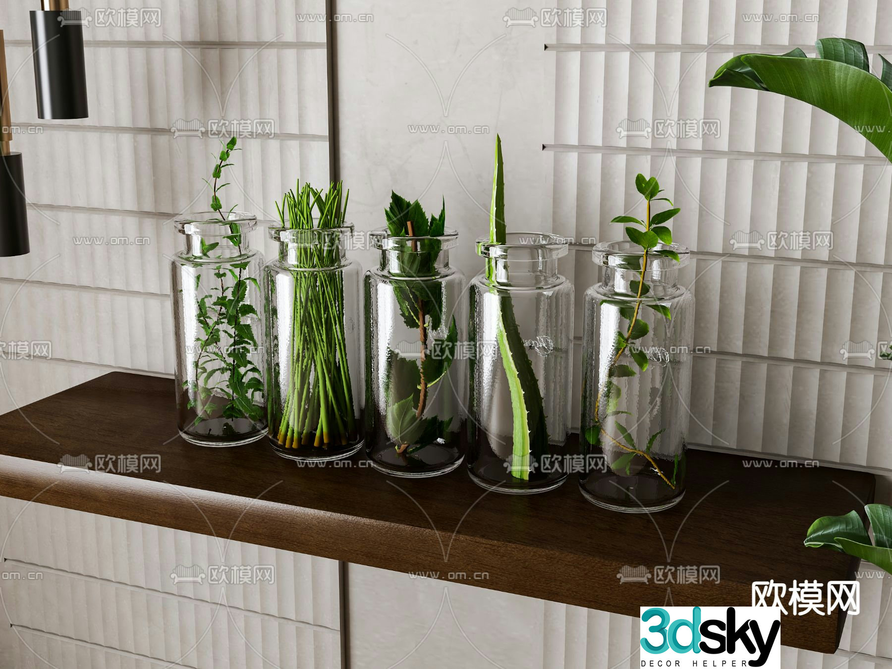 Aquatic plants hydroponic green plants 3D model